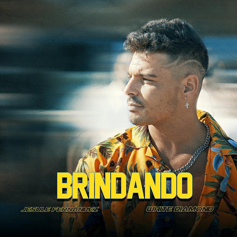 Постер альбома Brindando