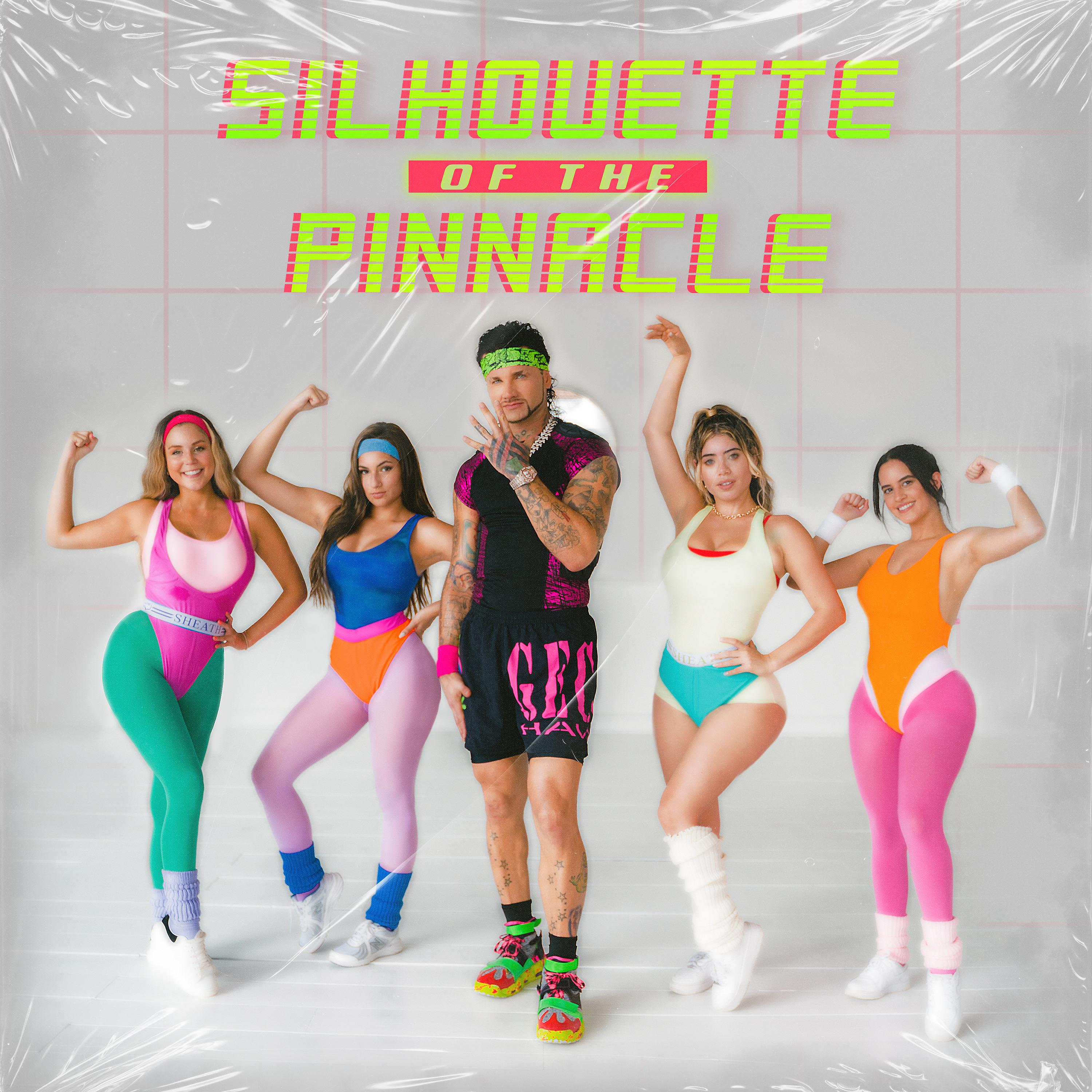 Постер альбома Silhouette of the Pinnacle