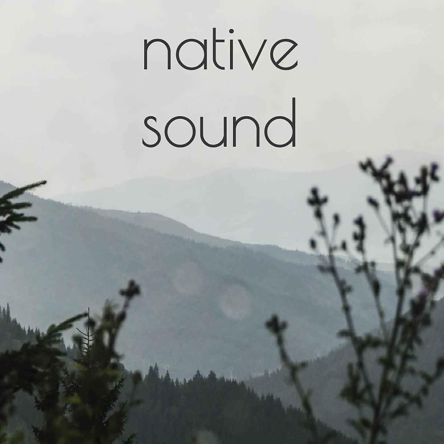 Постер альбома native sound