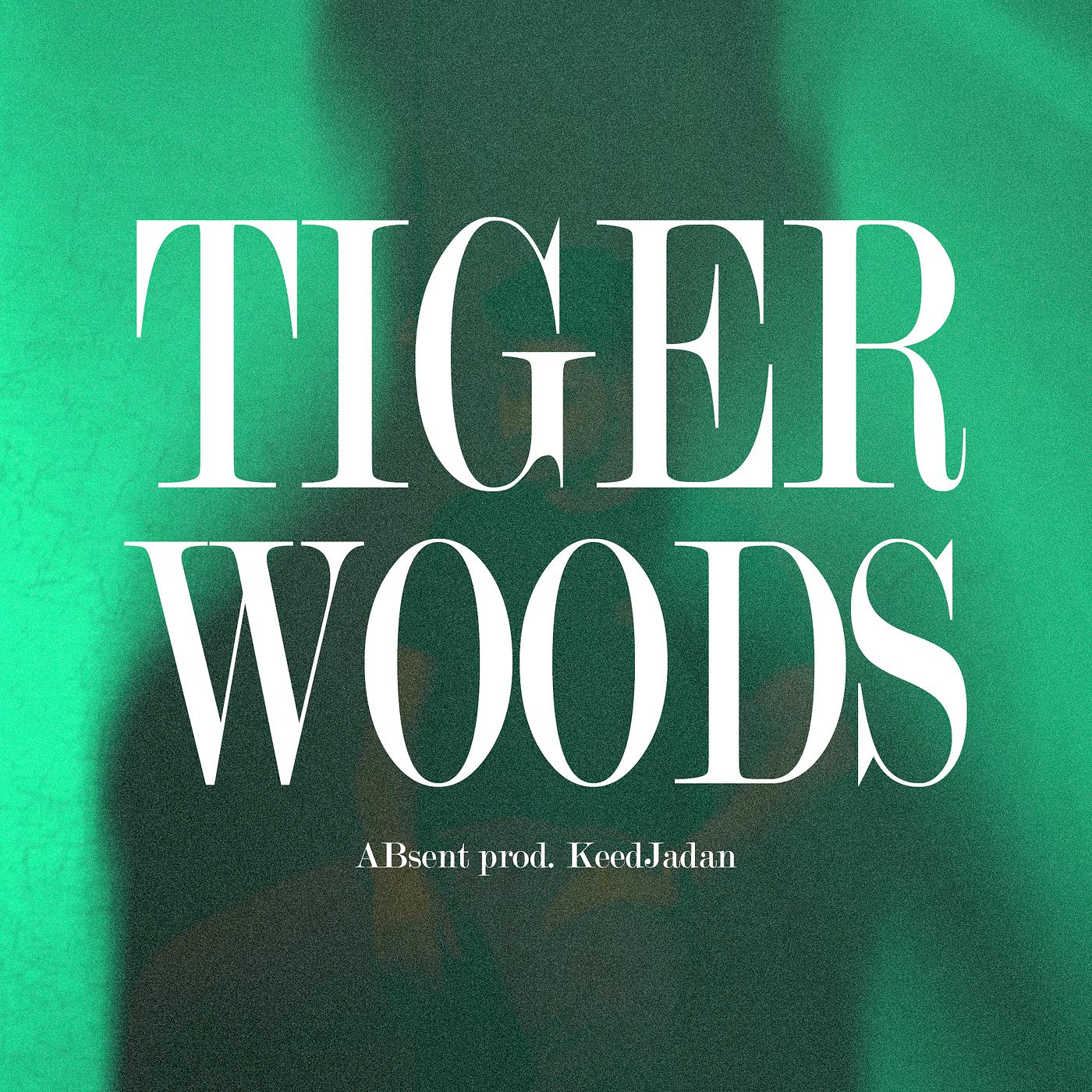 Постер альбома Tiger Woods