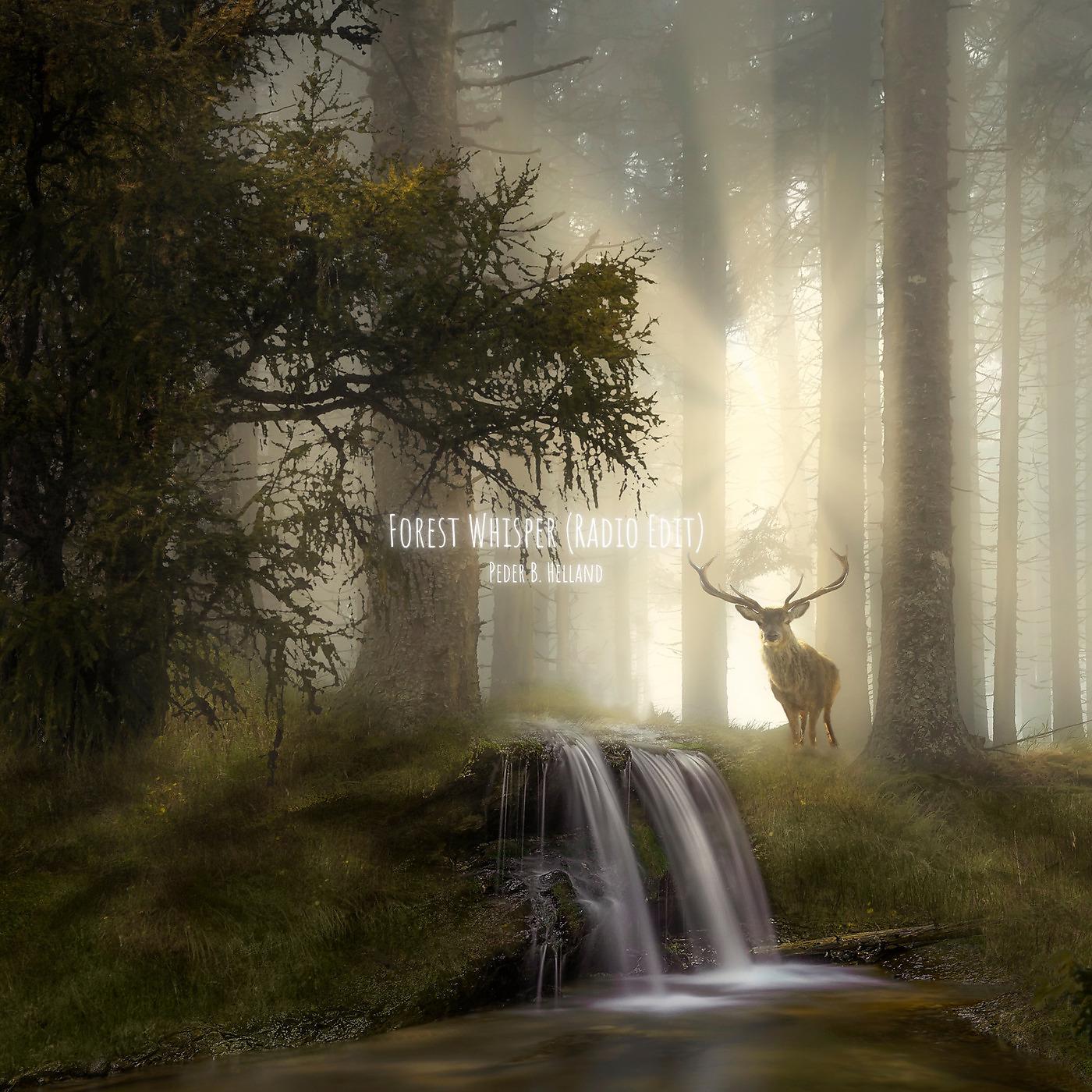 Постер альбома Forest Whisper (Radio Edit)