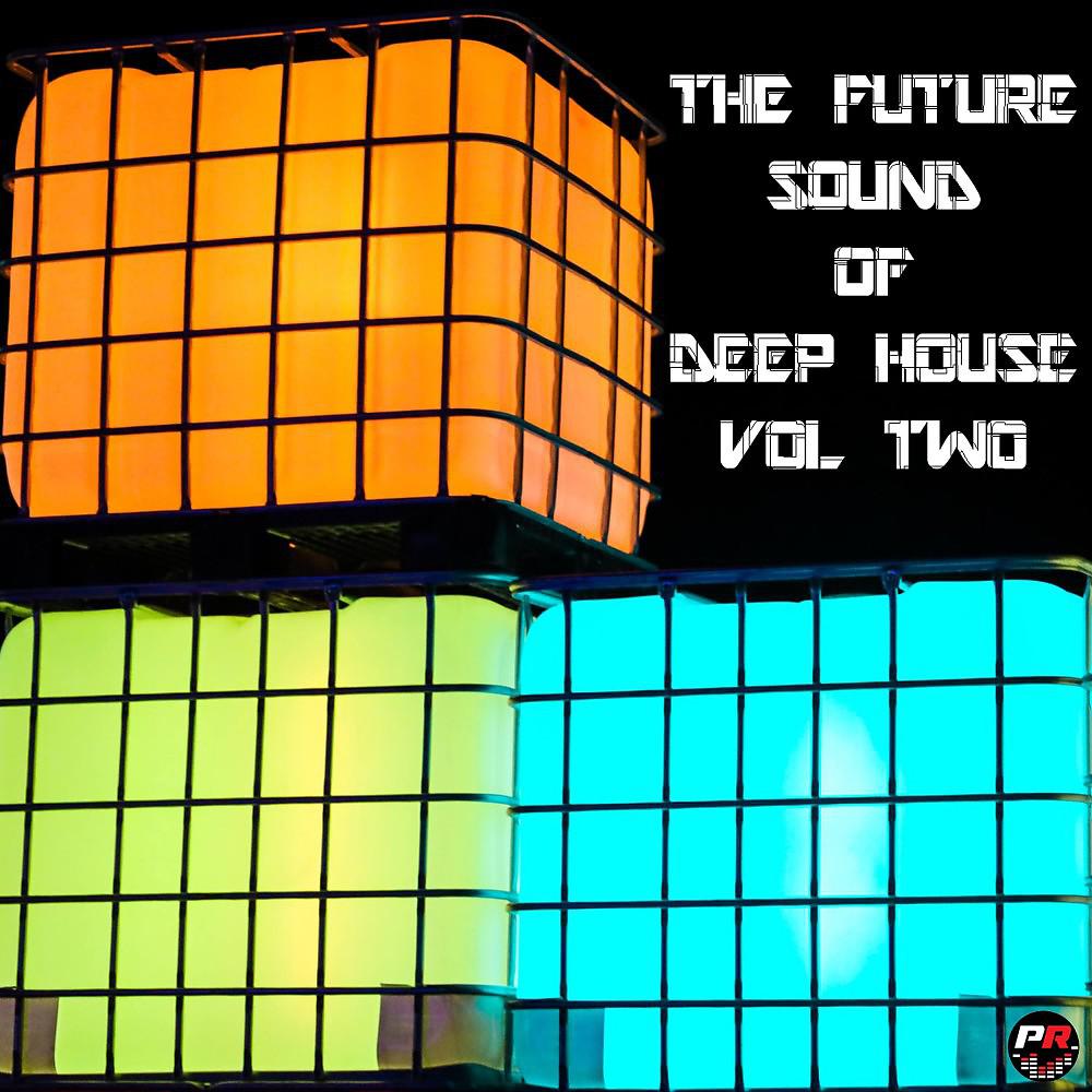 Постер альбома Future Sound of Deep House, Vol. 2