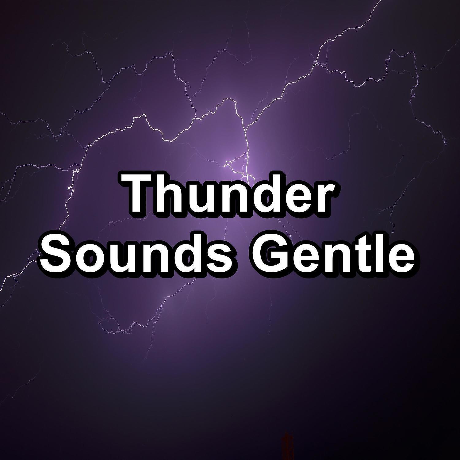 Sleep Songs with Nature Sounds - Medium Rain for Brain Relaxation and Mindfulness To Help You Sleep