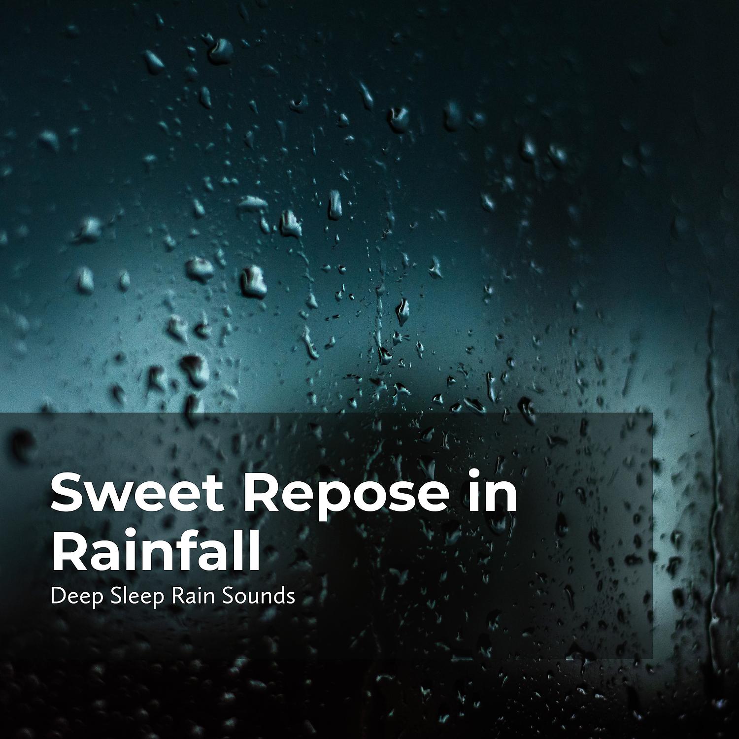 Постер альбома Sweet Repose in Rainfall
