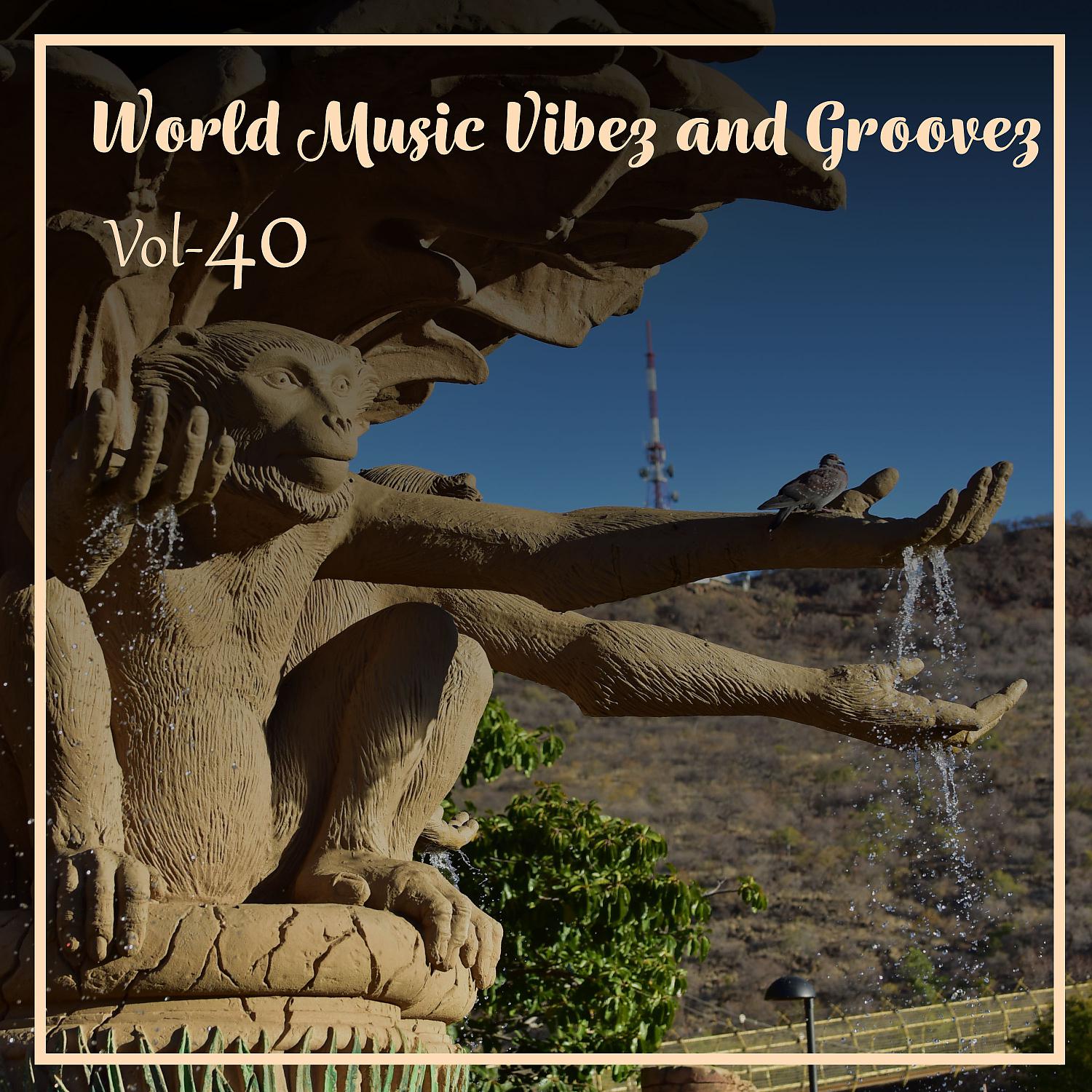 Постер альбома World Music Vibe and Grooves, Vol. 40