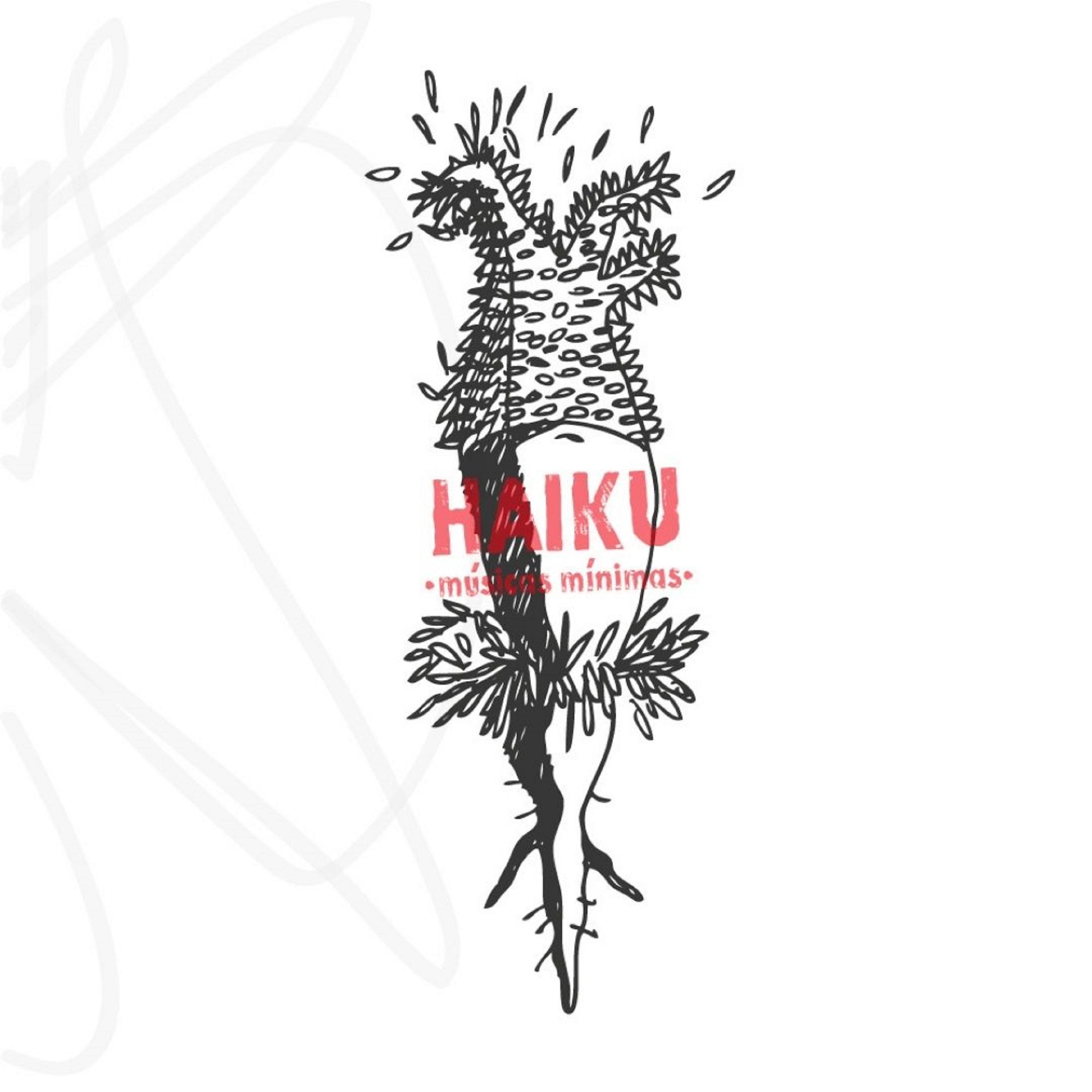 Постер альбома Haiku (Músicas Mínimas)
