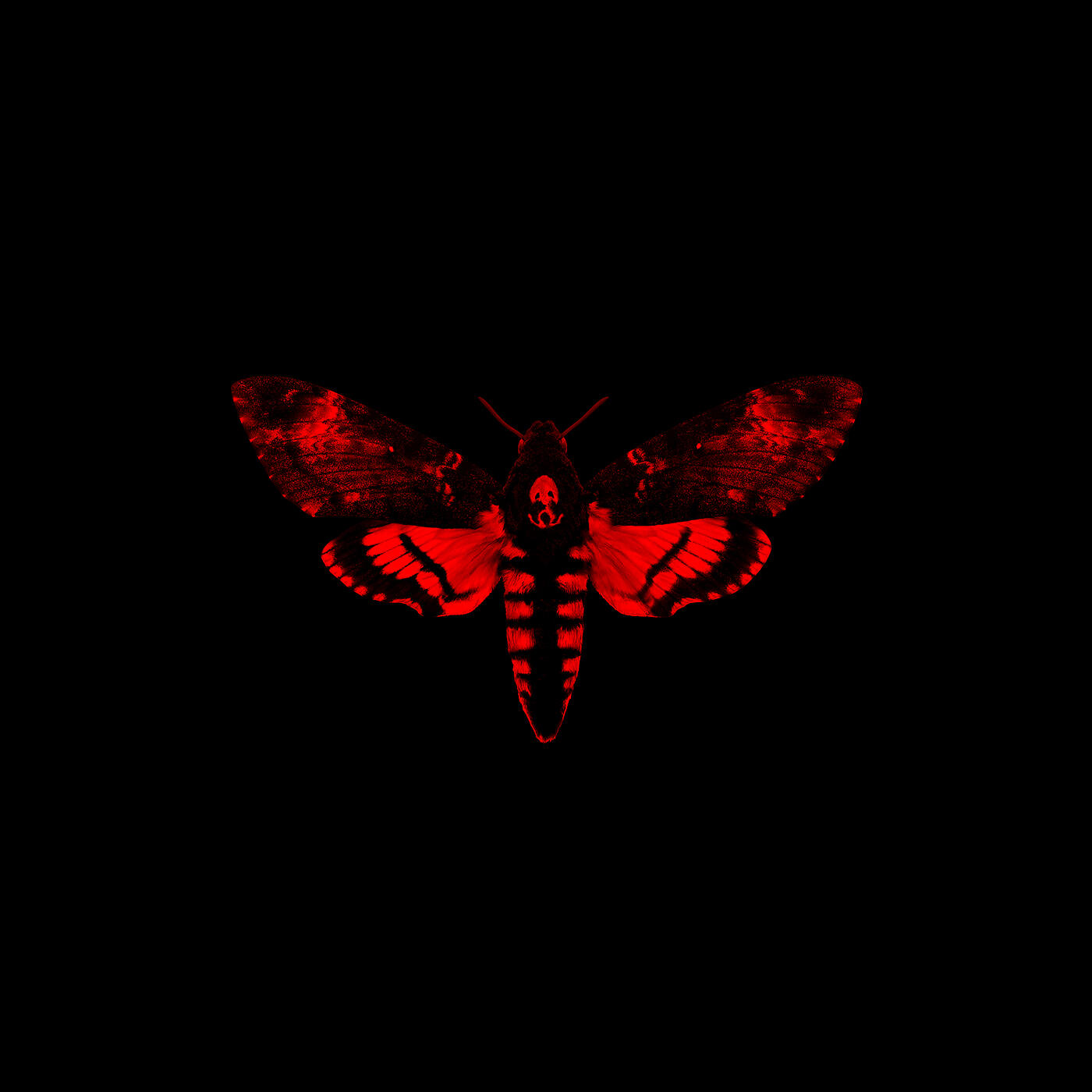 Lil Wayne - Hot Revolver (Album Version (Edited))