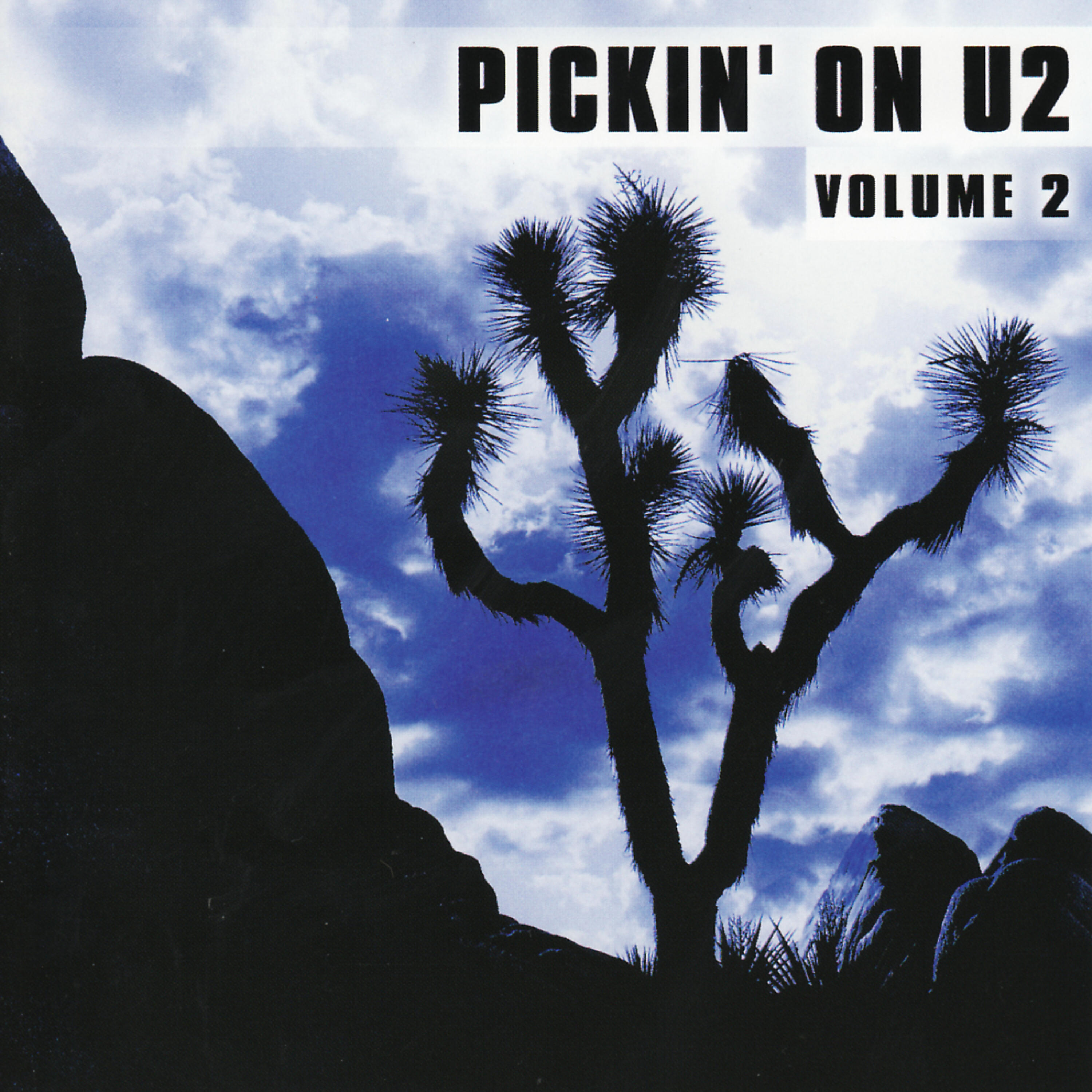 PIckin' On Series - The Boys From Ireland (Original Composition Inspired by the Music of U2)