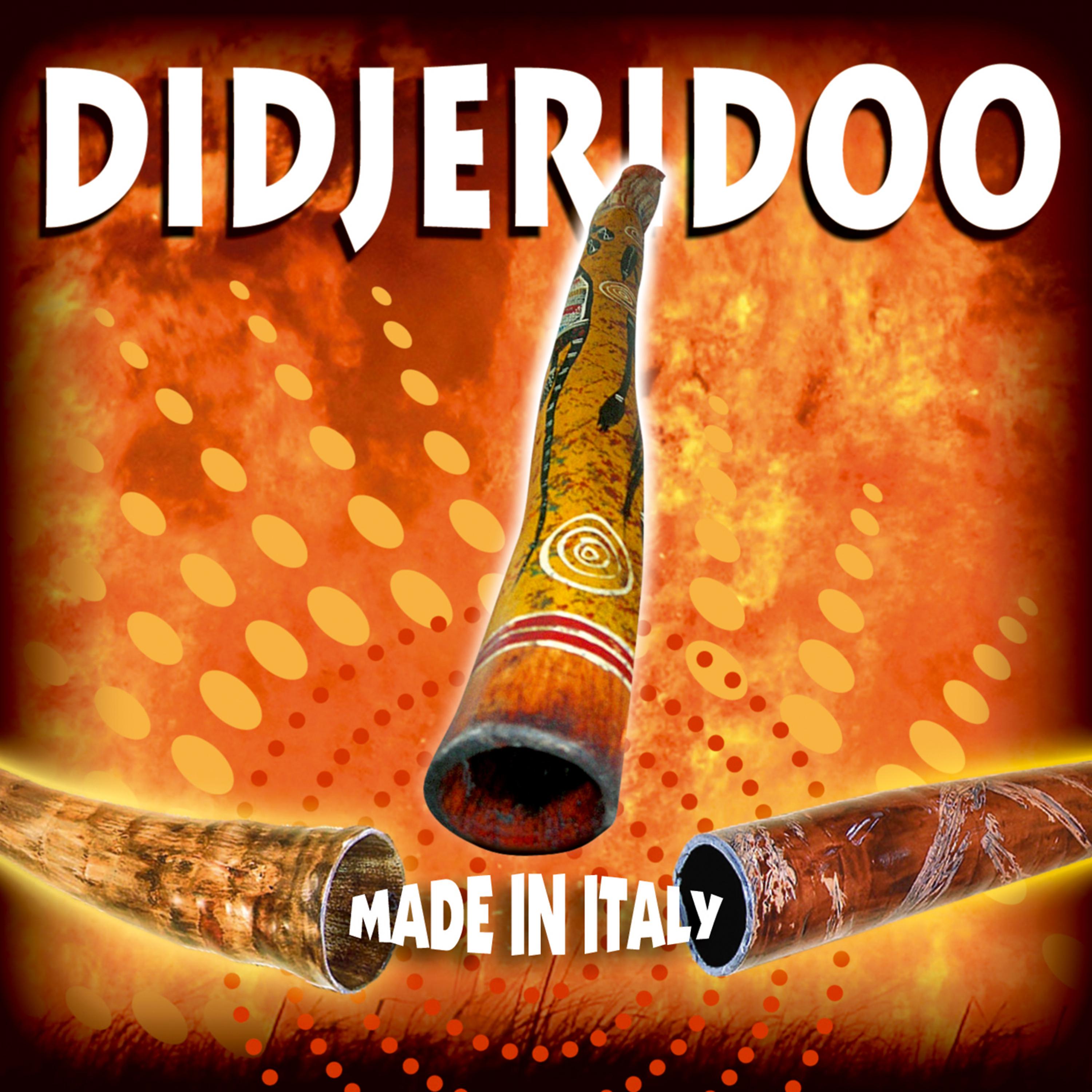 Постер альбома Didjeridoo - Made in Italy