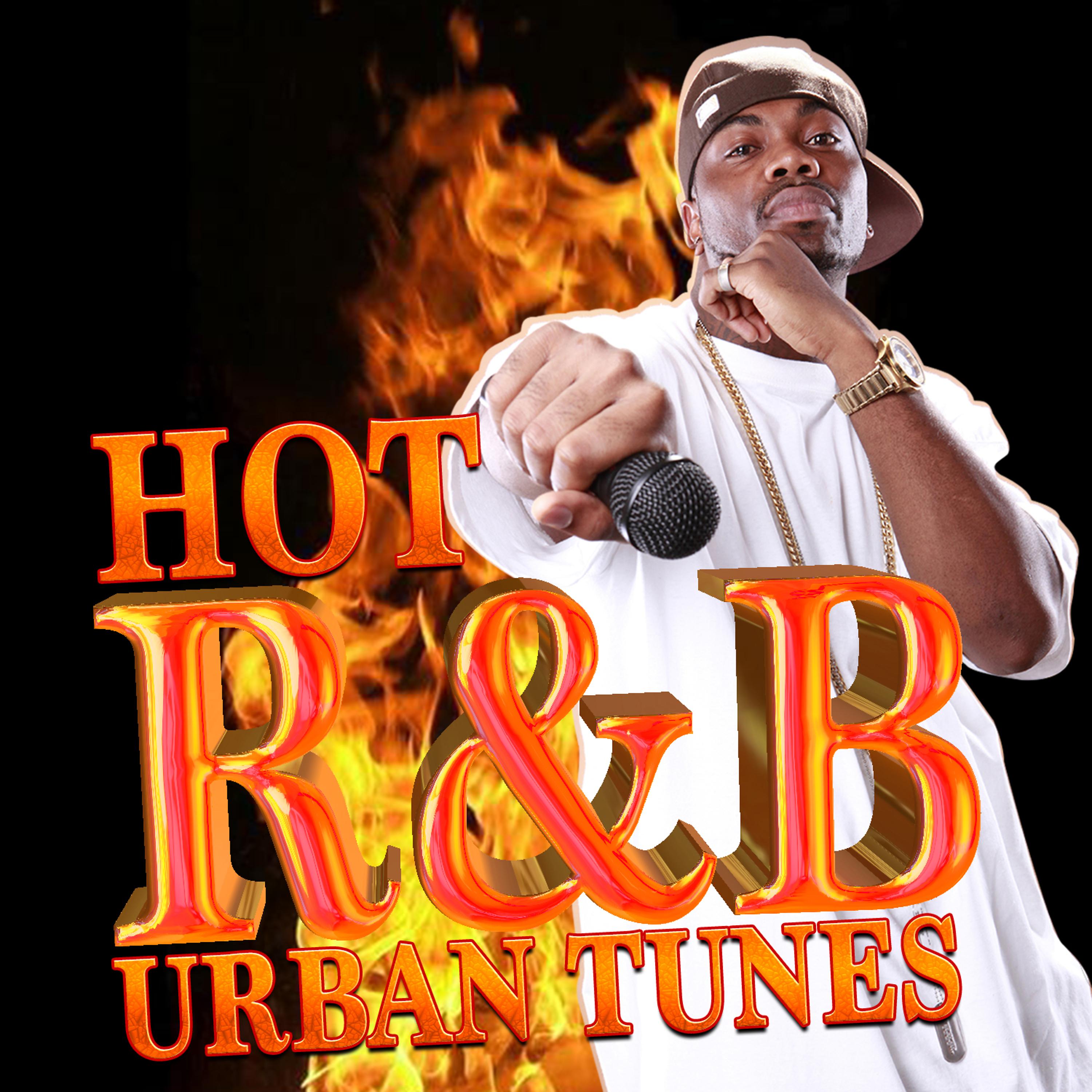 Постер альбома Hot R&B Urban Tunes