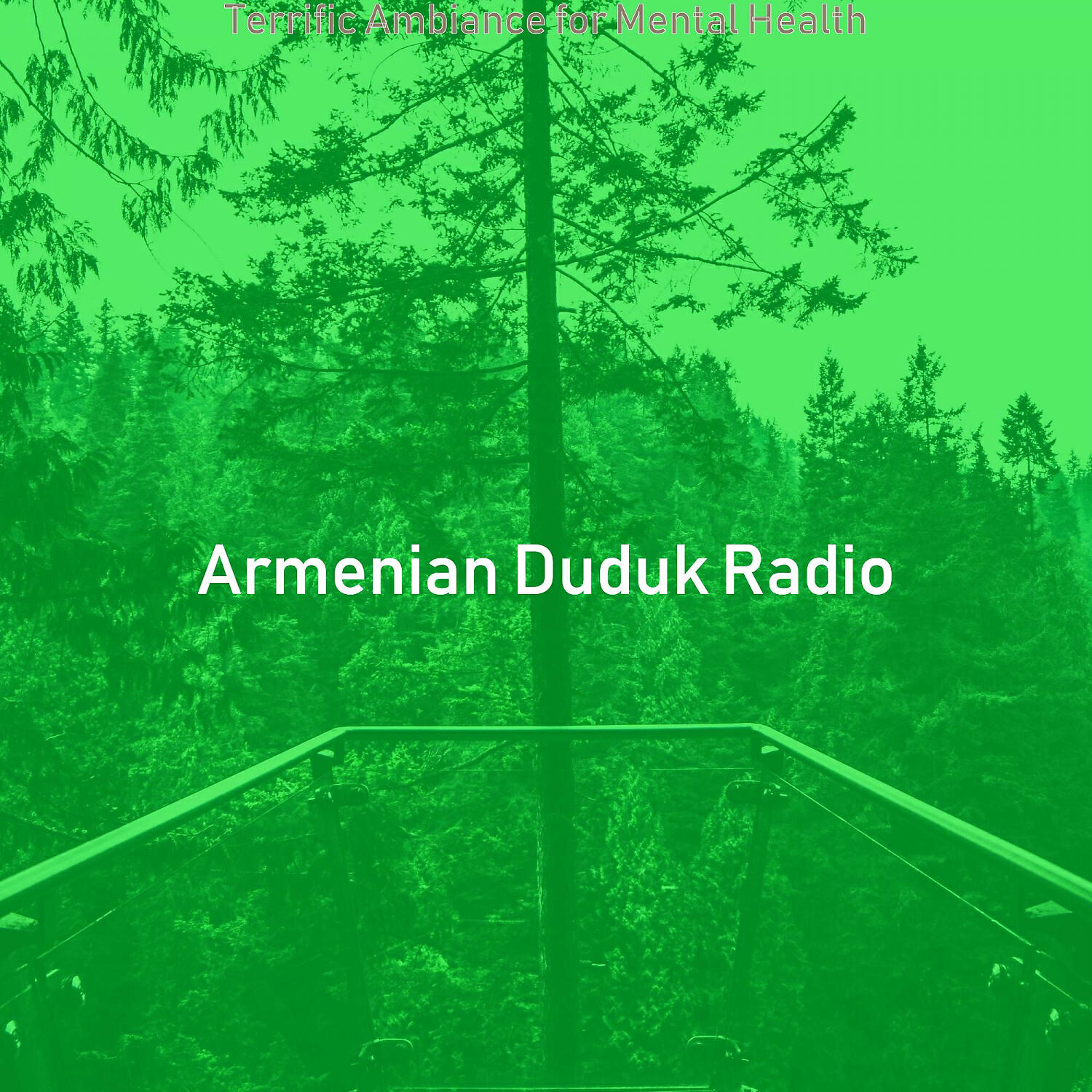 Armenian Duduk Radio - Cool Duduk and Piano - Vibe for Mental Health