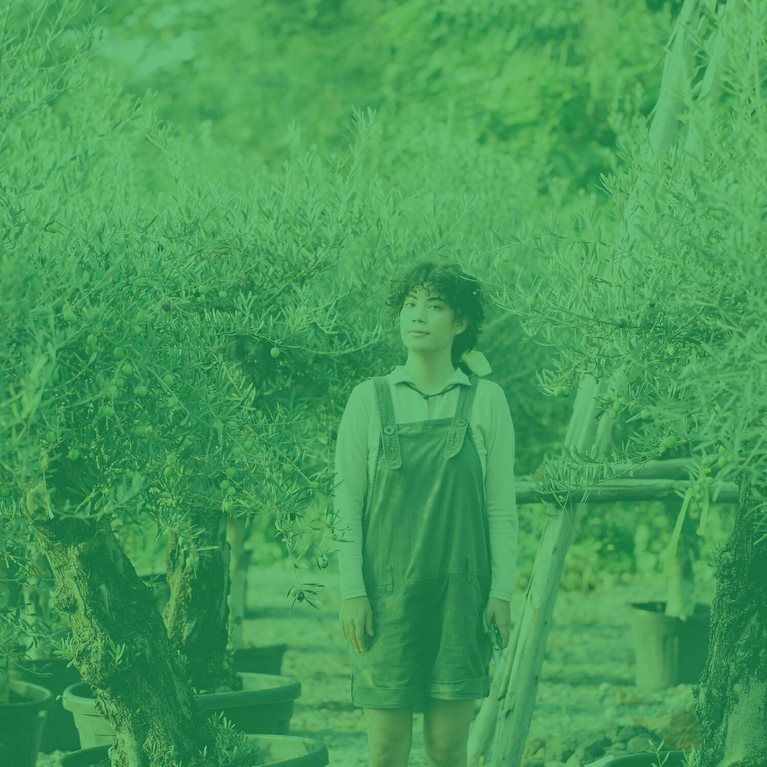 Armenian Duduk Radio - Simple Duduk and Piano - Vibe for Meditation