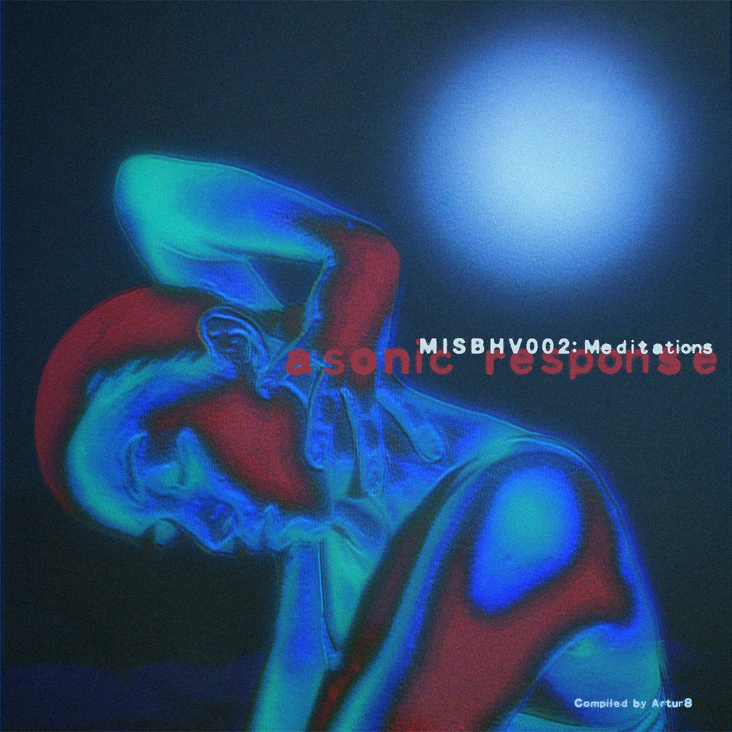 Постер альбома MISBHV 002: Meditations: a sonic response, Pt. 2