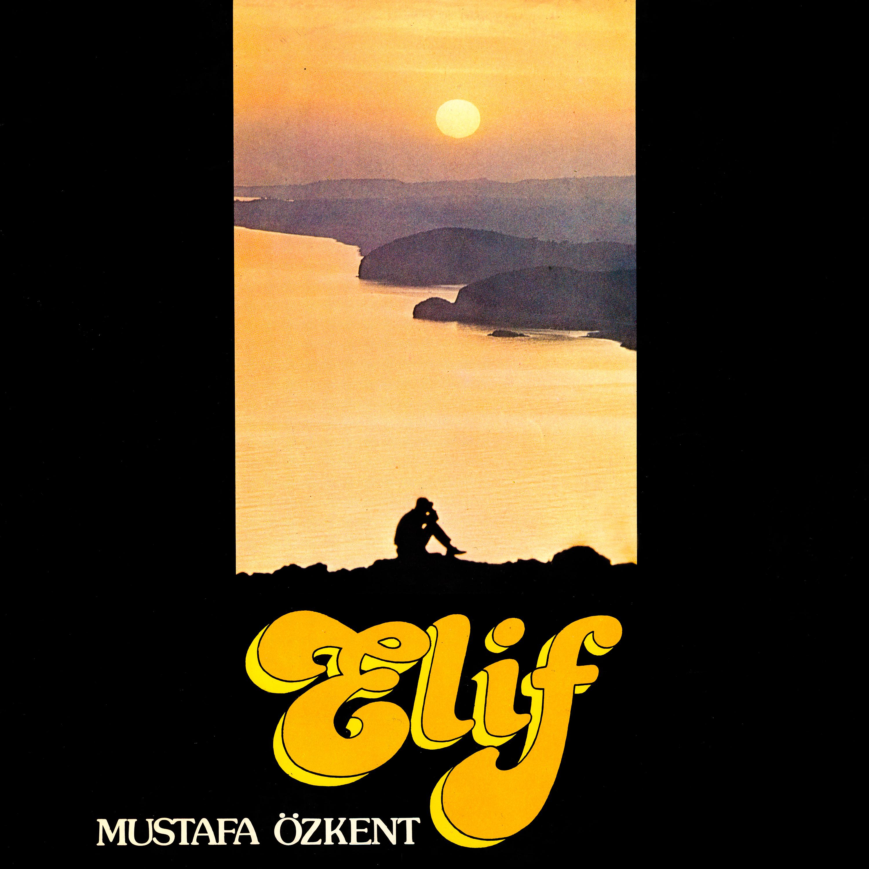 Постер альбома Elif