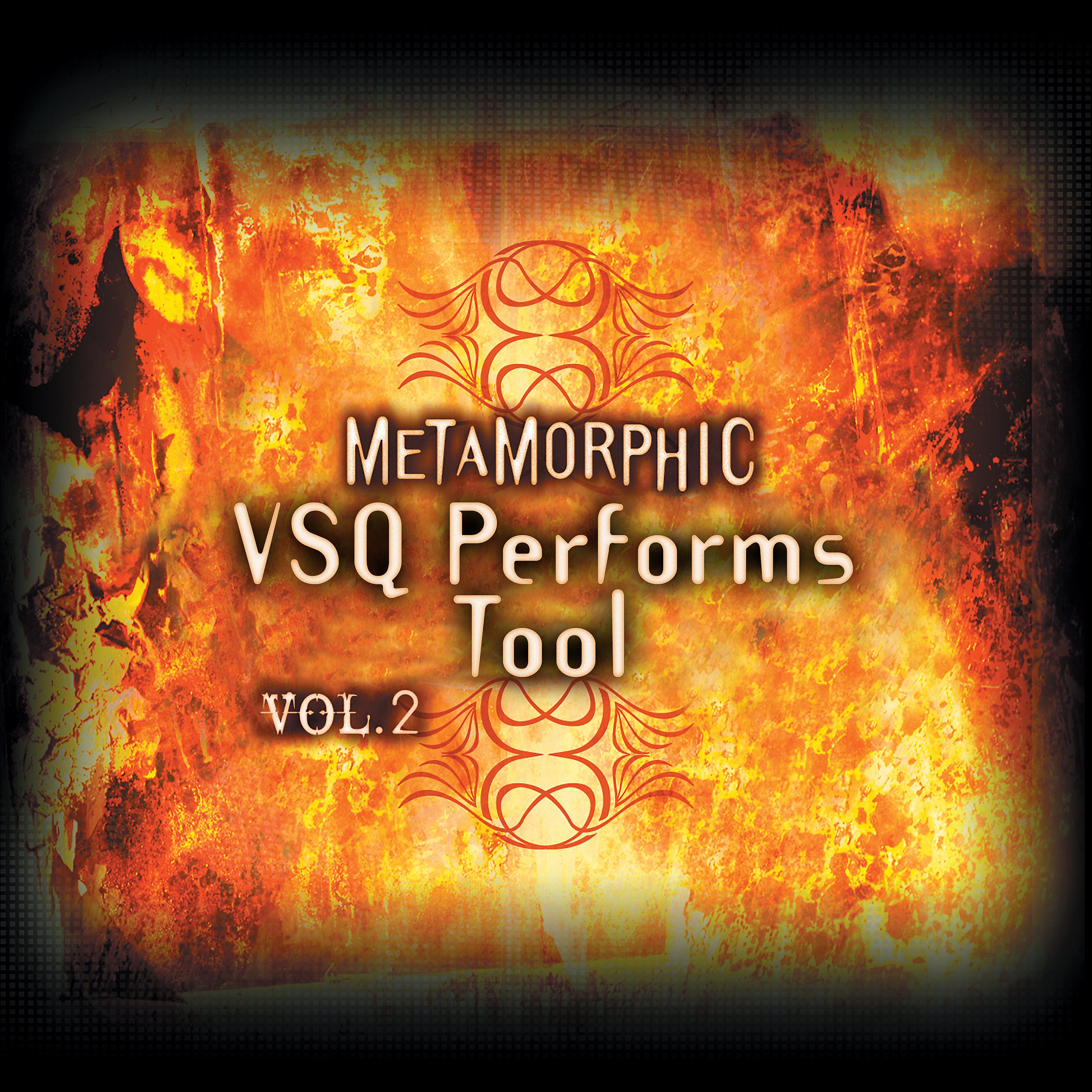 Постер альбома Metamorphic: VSQ Performs Tool, Vol. 2