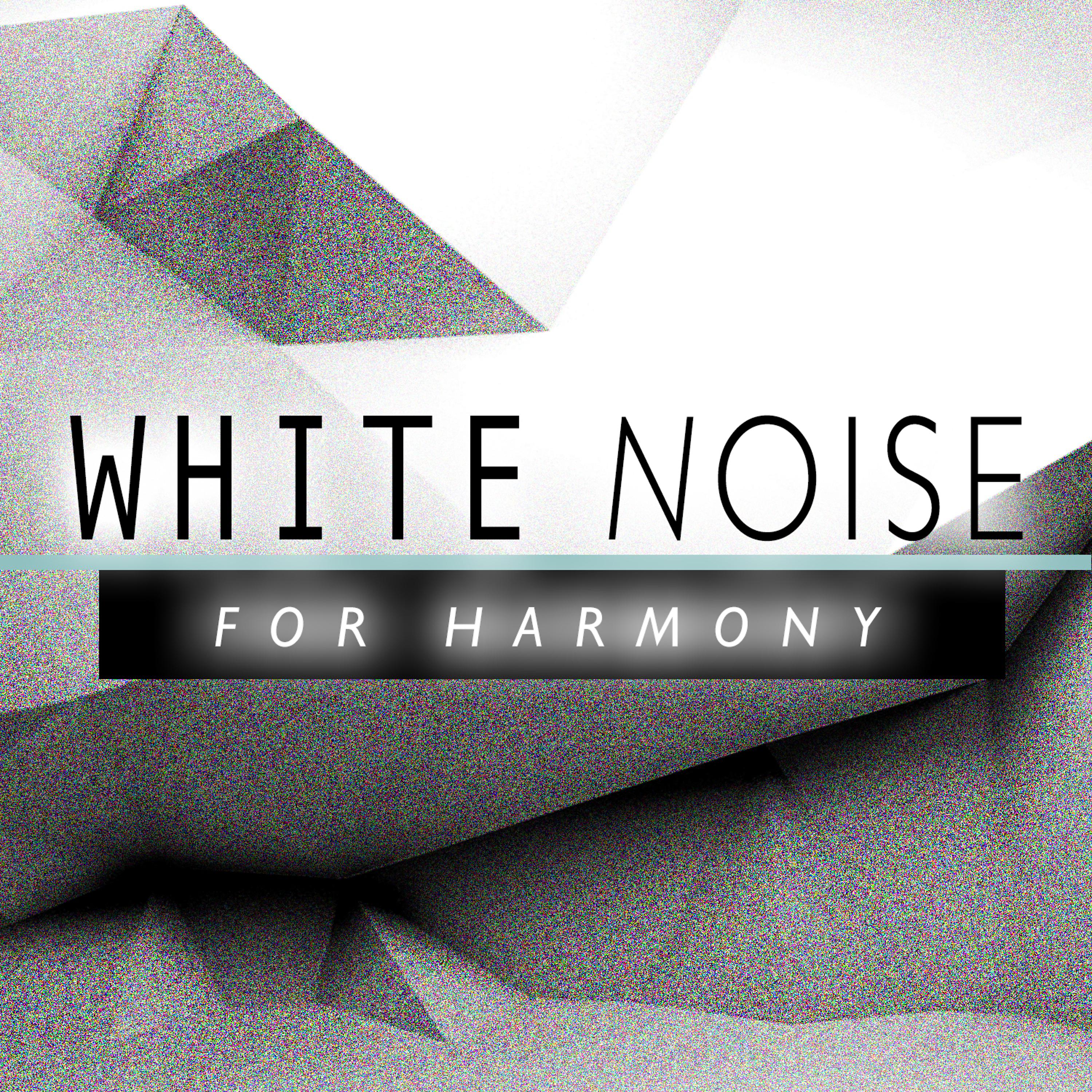 Постер альбома White Noise for Harmony