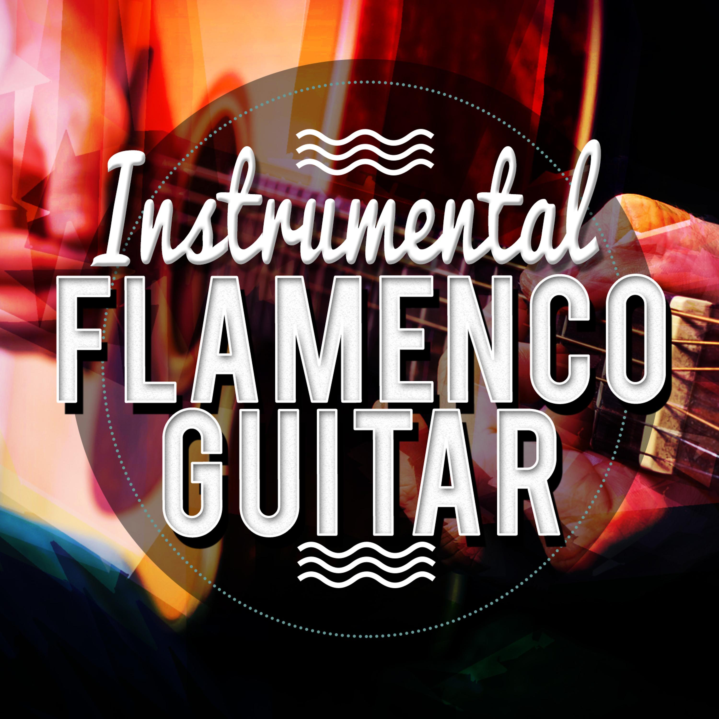 Постер альбома Instrumental Flamenco Guitar