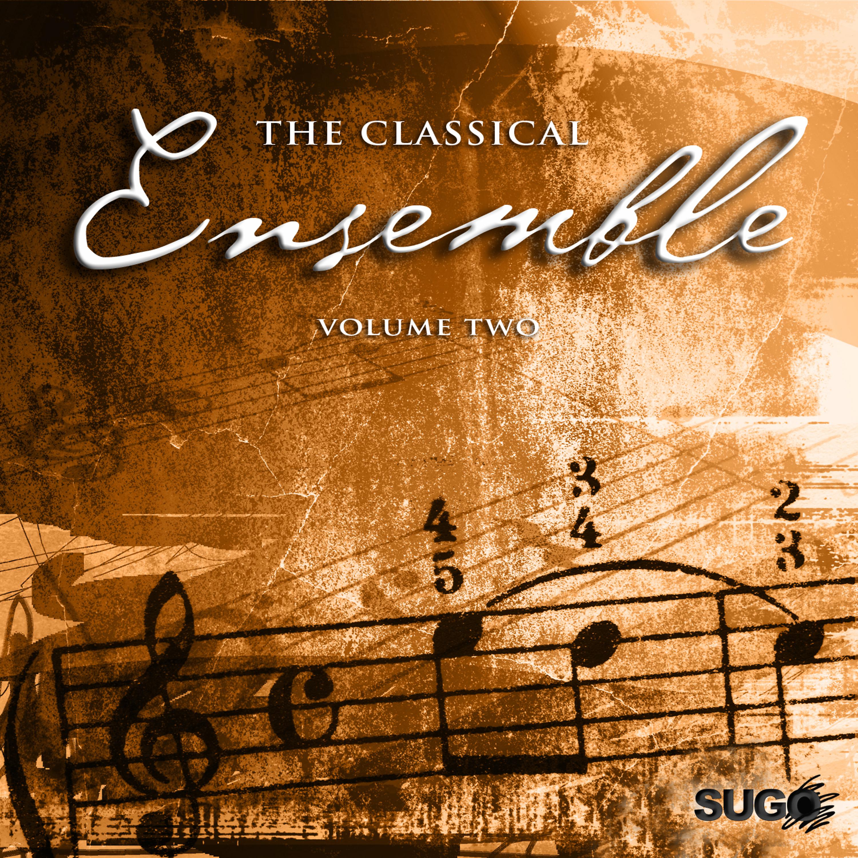 Постер альбома The Classical Ensemble, Vol. 2