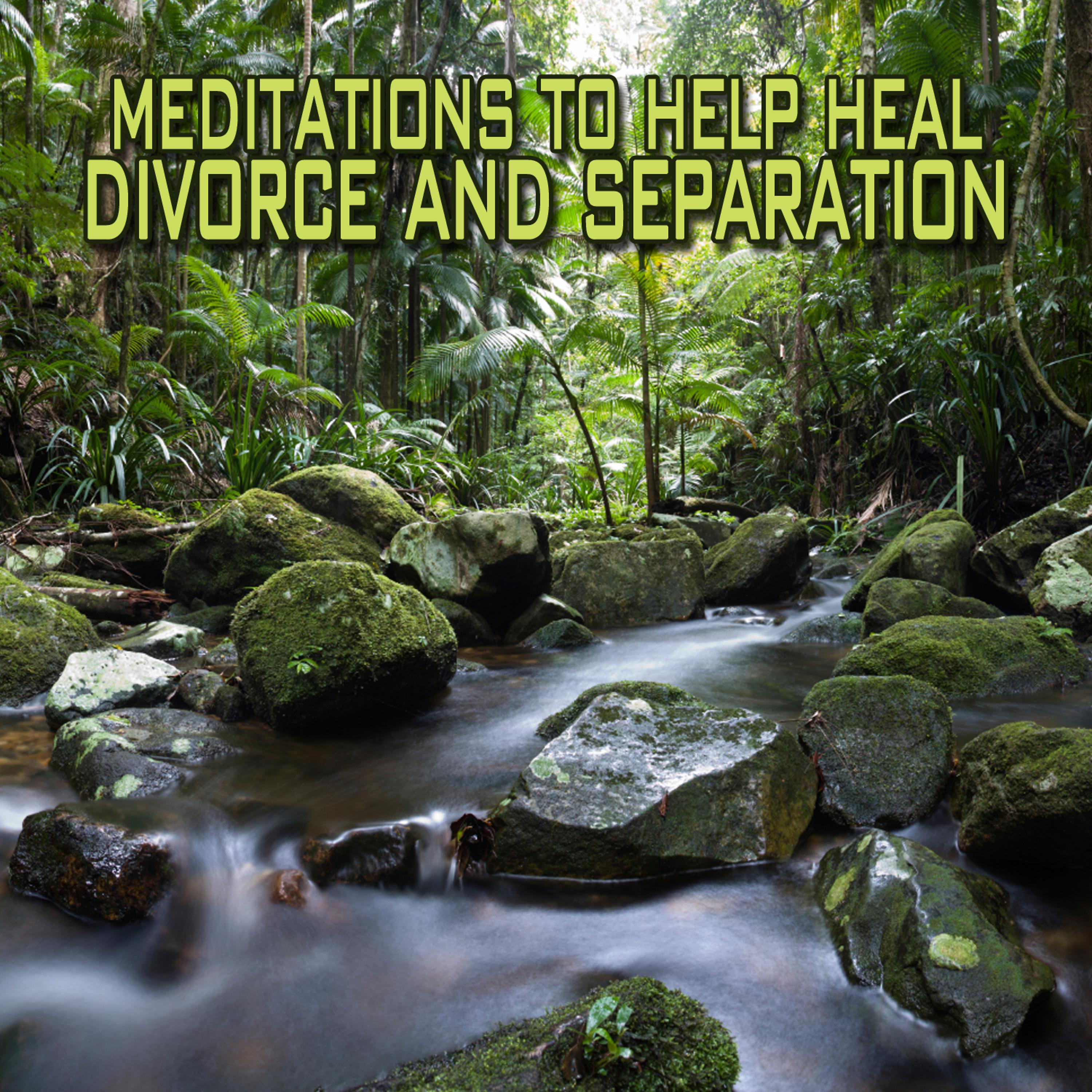 Постер альбома Meditations To Help Heal Divorce And Separations