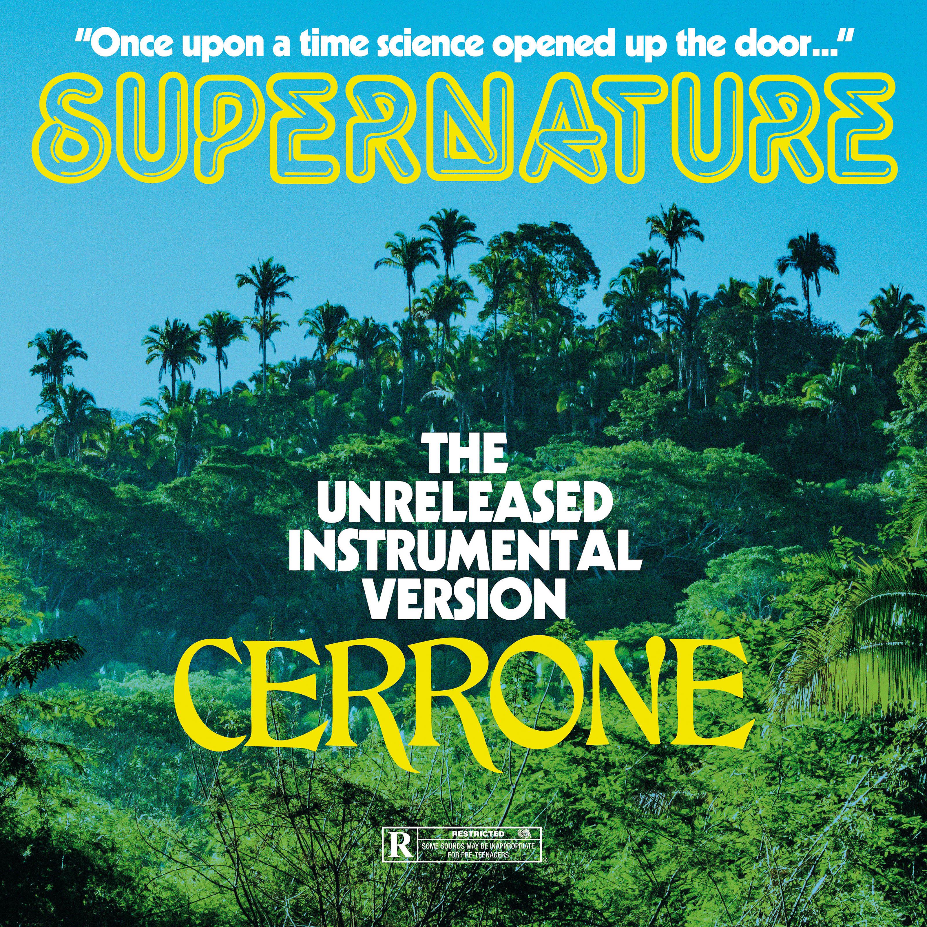 Постер альбома Supernature (instrumental)
