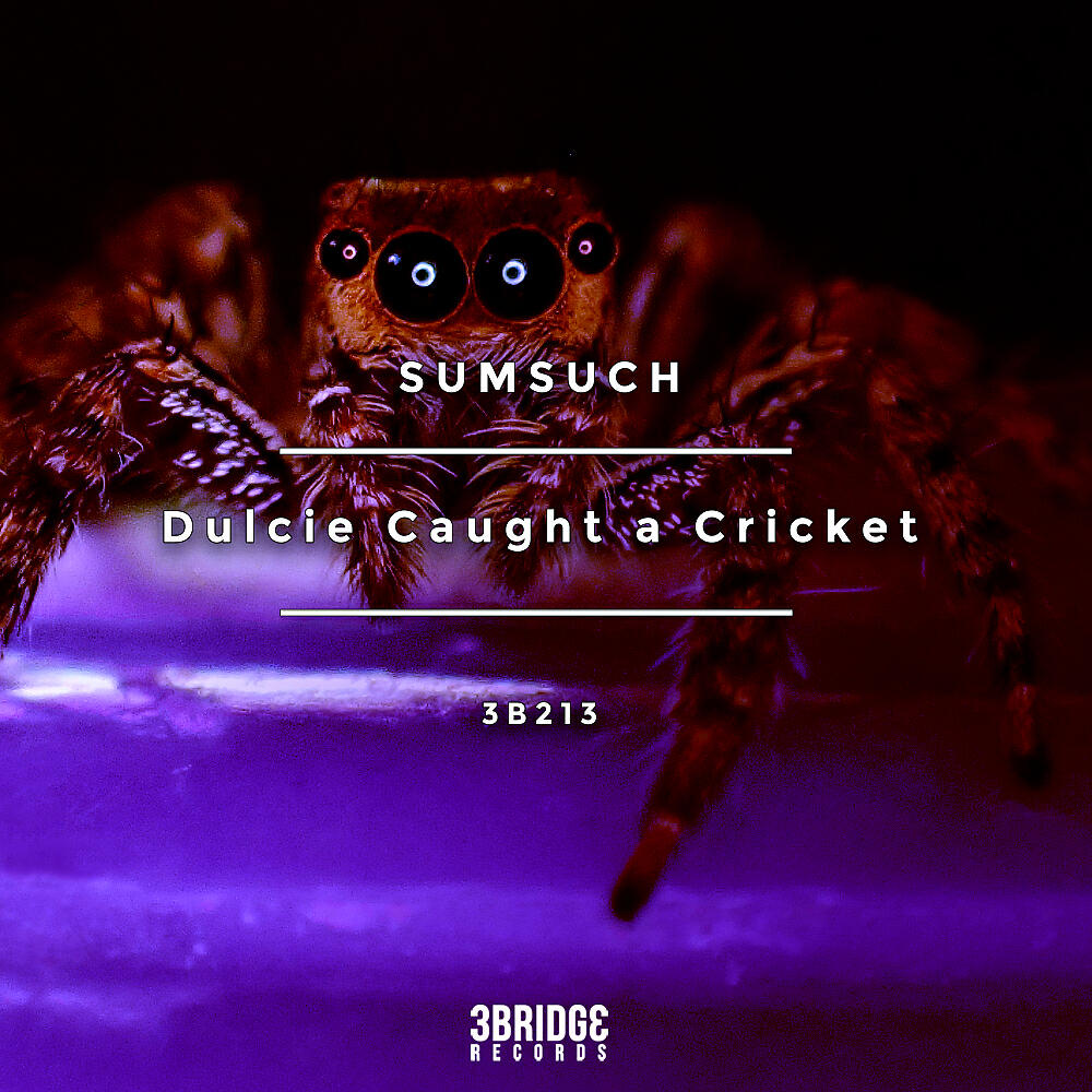SumSuch - Dulcie Caught a Cricket (Eric Shans Remix)