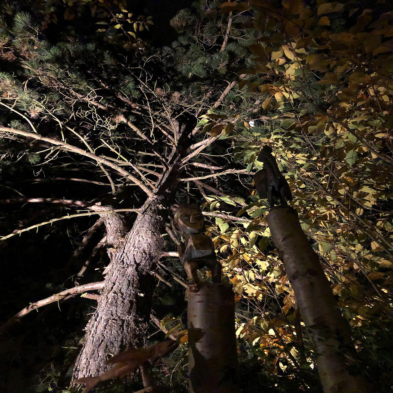 Marnix Lippmann - Ode to the Pinetree (7th Chakra, Great Bliss)