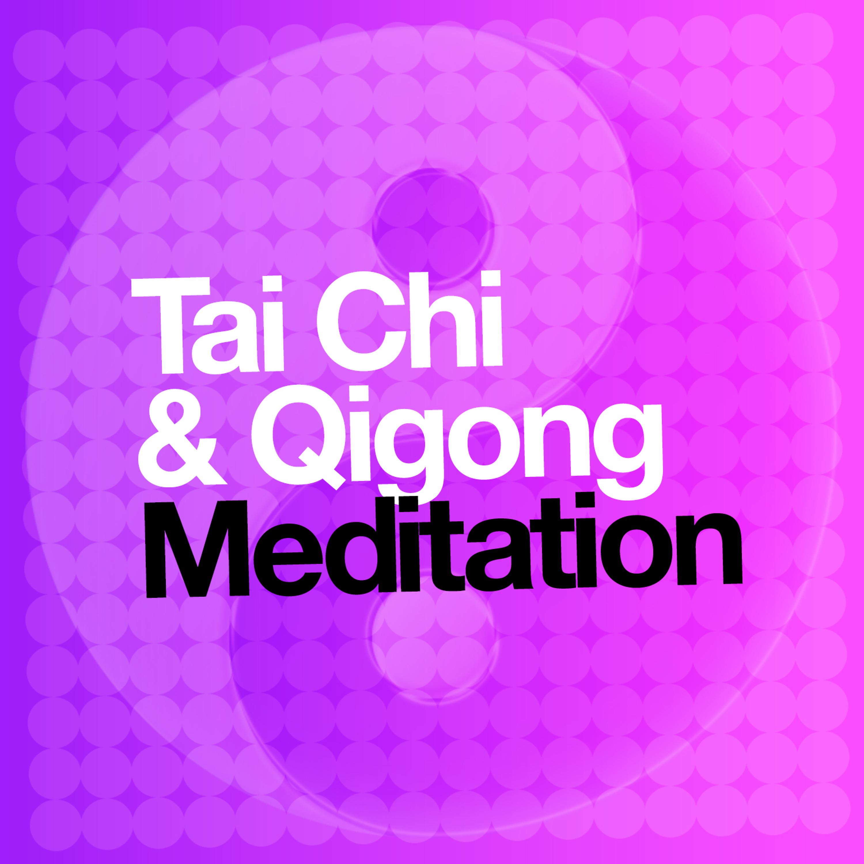 Постер альбома Tai Chi & Qigong Meditation