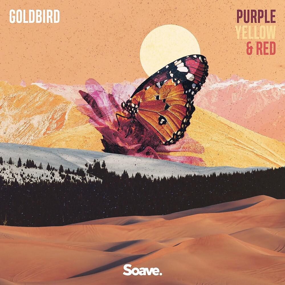 Постер альбома Purple, Yellow & Red