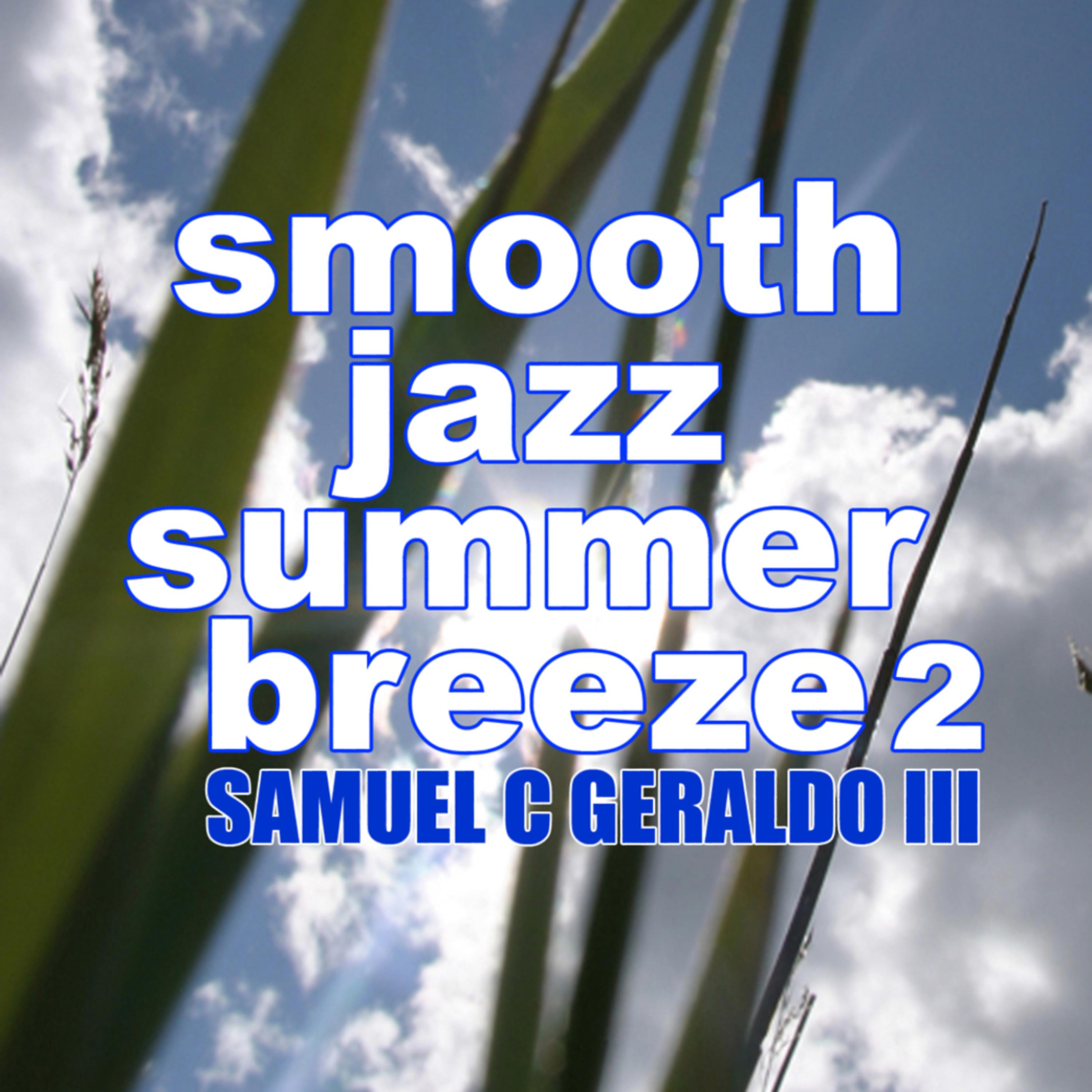 Постер альбома Smooth Jazz Summer Breeze 2