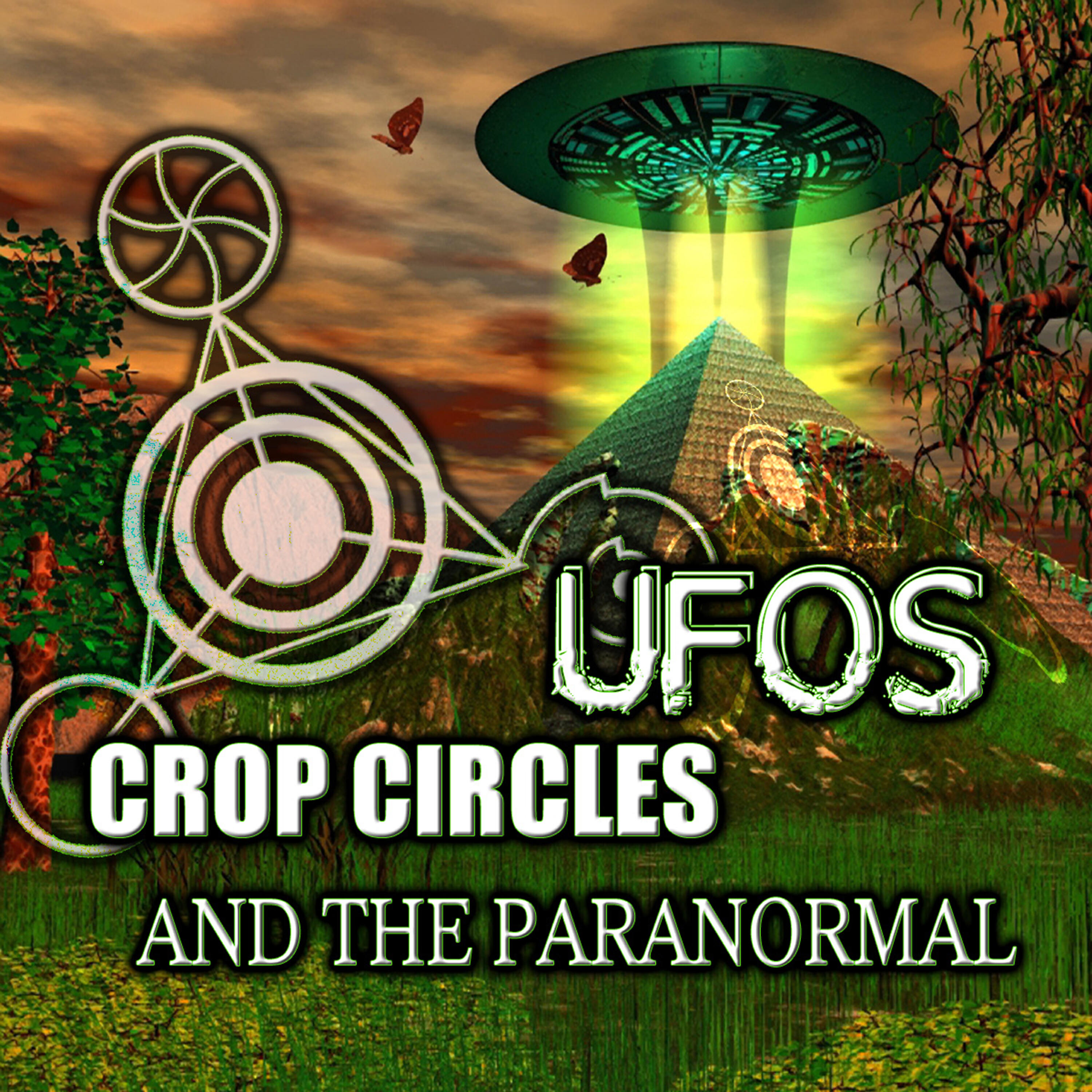 O.H. Krill - Crop Circles, UFOs and the Paranormal, Chapter 10