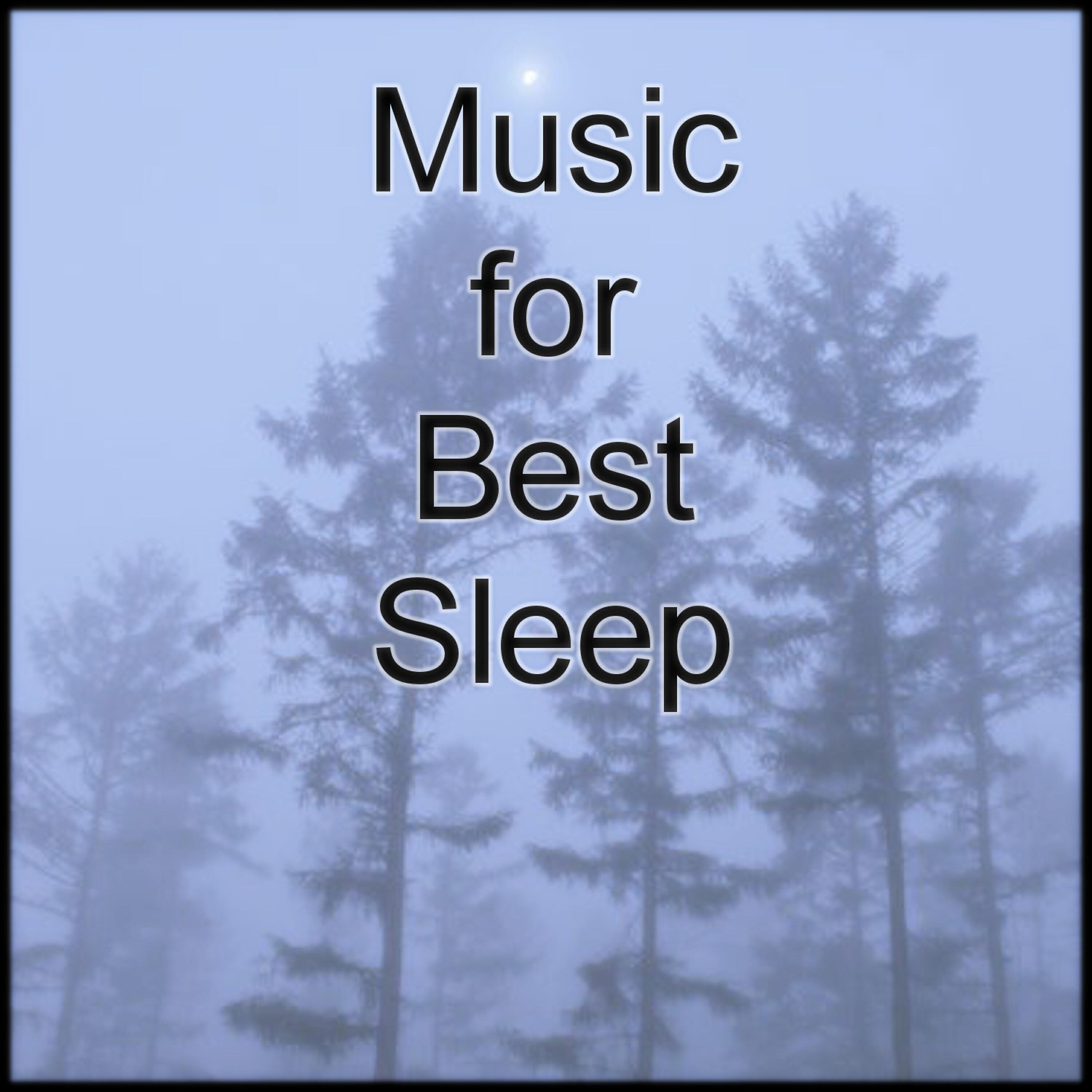 Sleep Music Laboratory - Music for Sleep Fast 