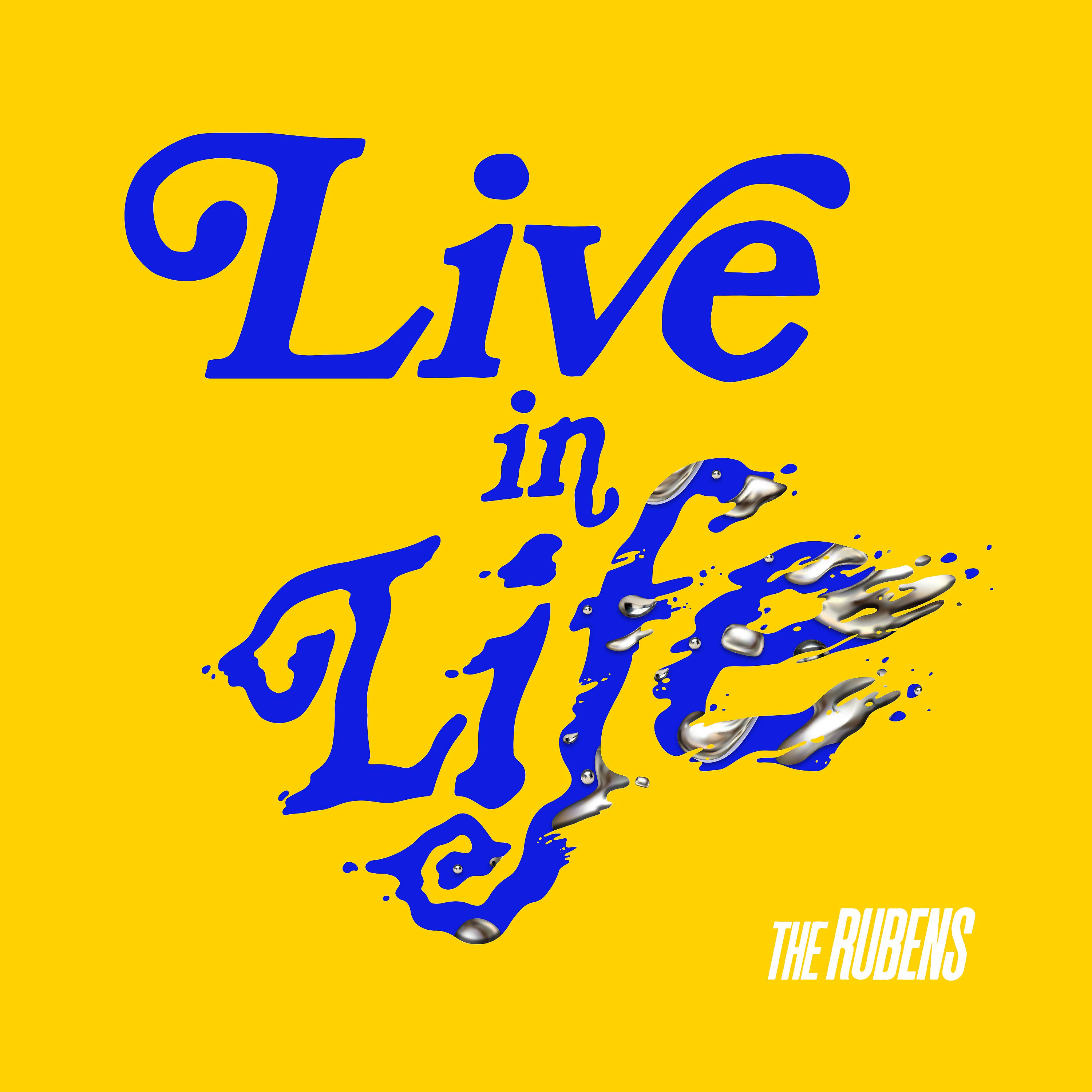 Постер альбома Live in Life