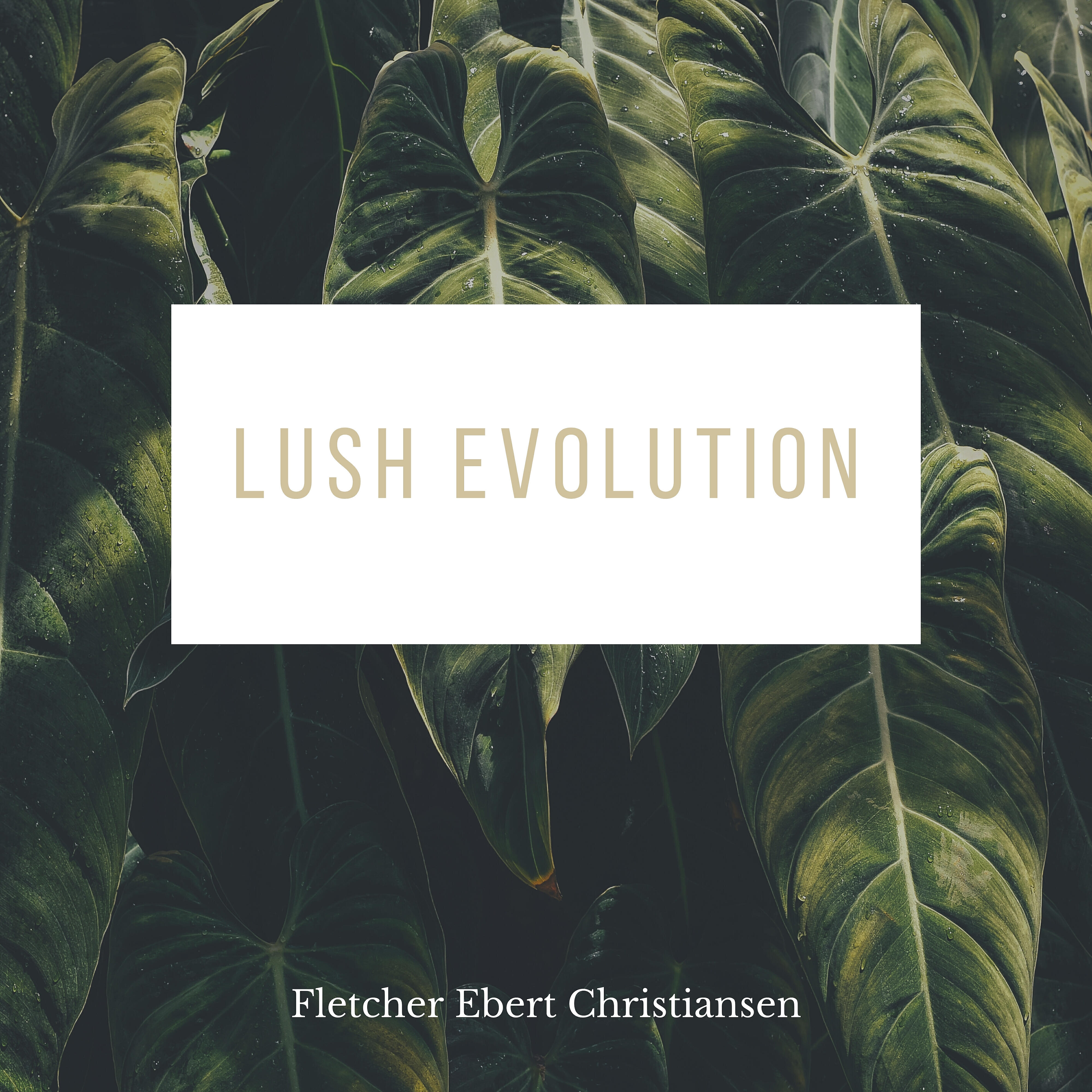 Fletcher Ebert Christiansen - Lush Evolution
