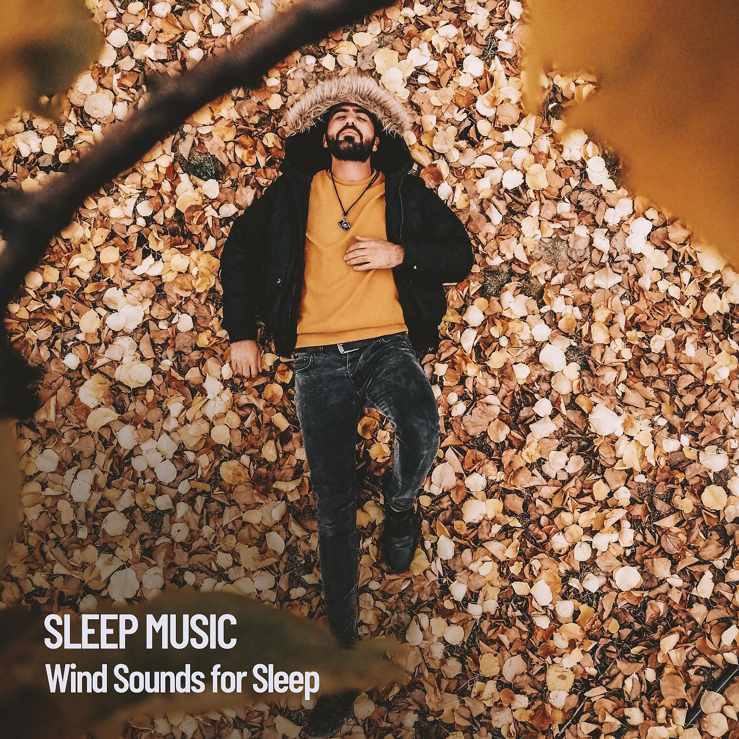 Постер альбома Sleep Music: Wind Sounds for Sleep