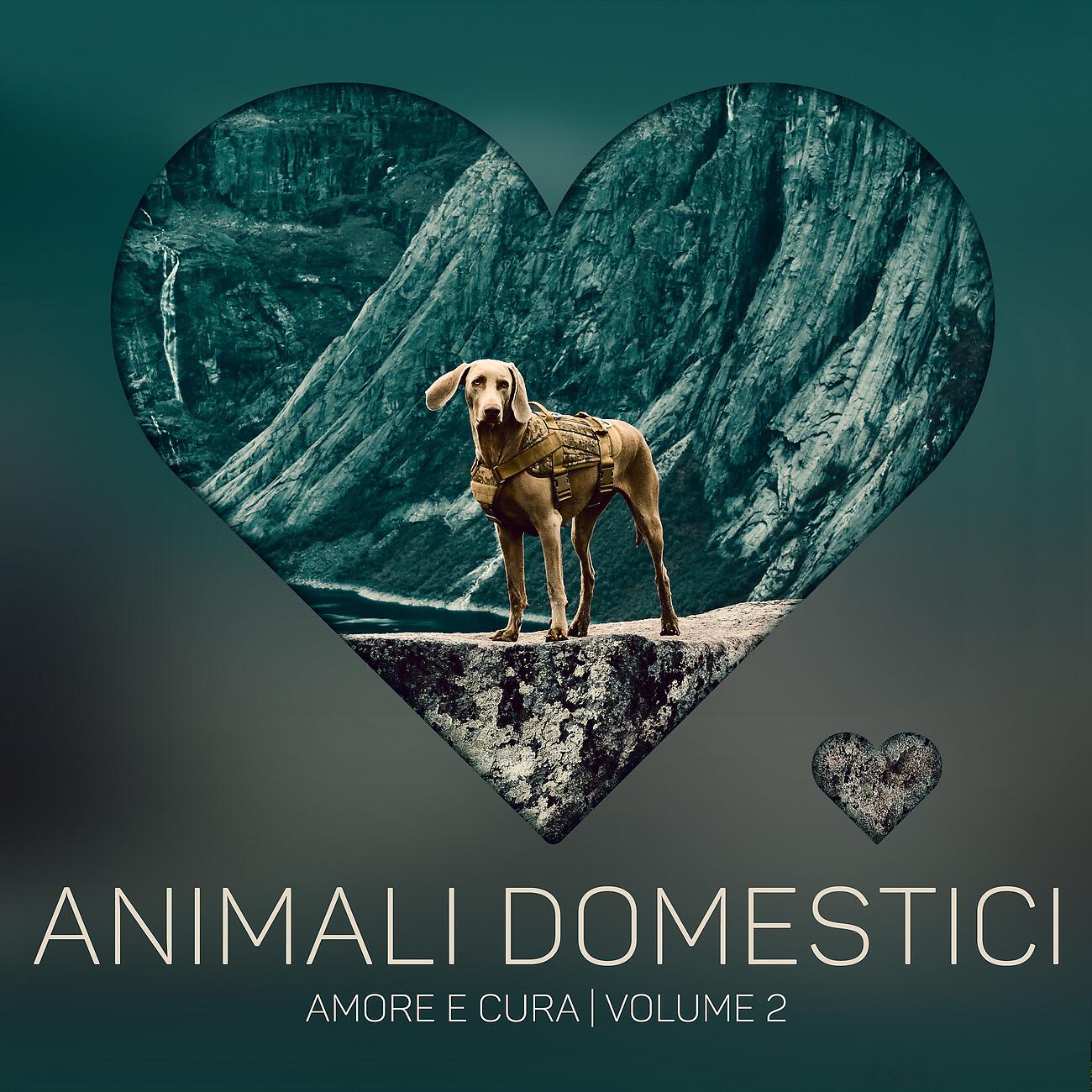 Musica Relax Academia - Musica per il recupero degli animali domestici