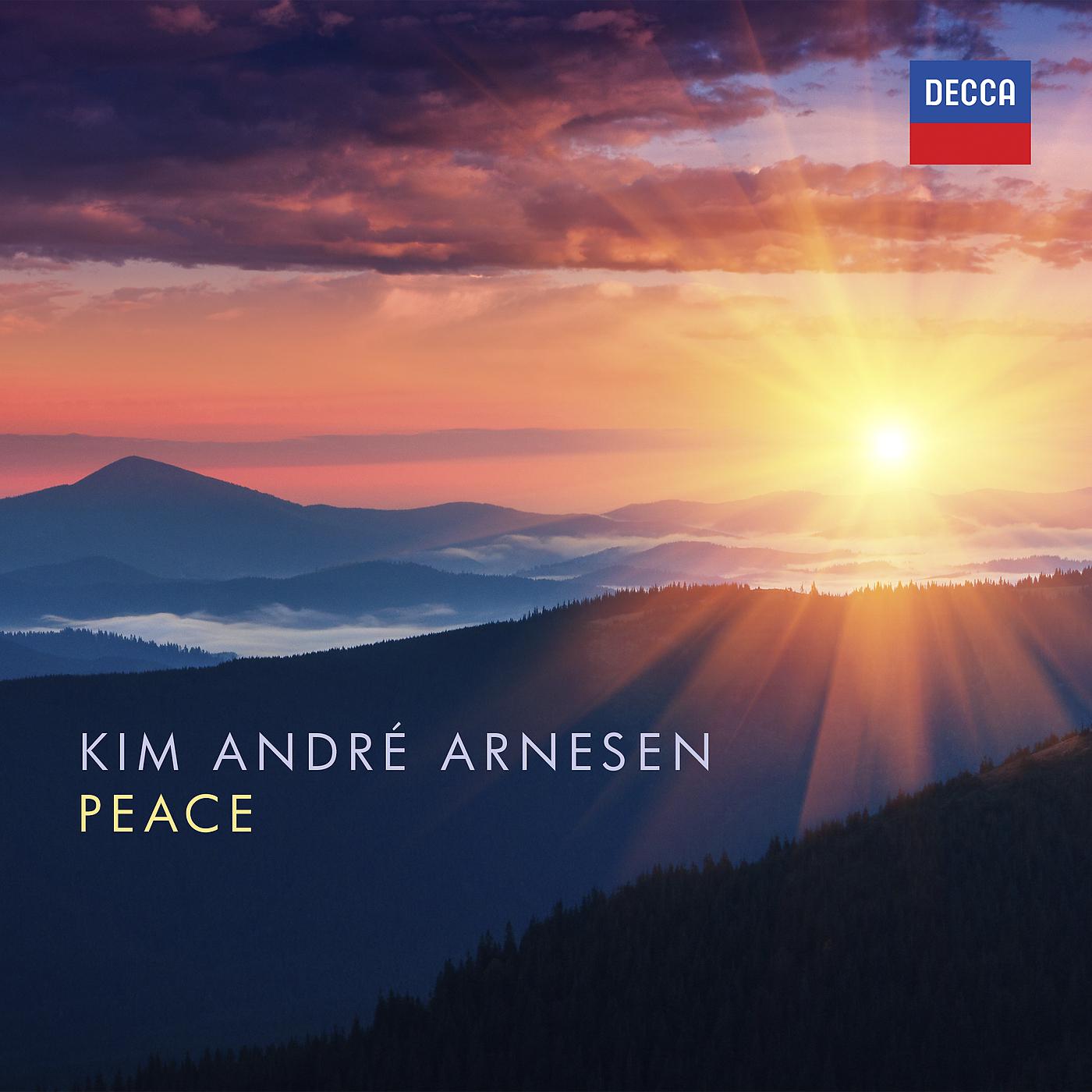 Постер альбома Arnesen: Peace