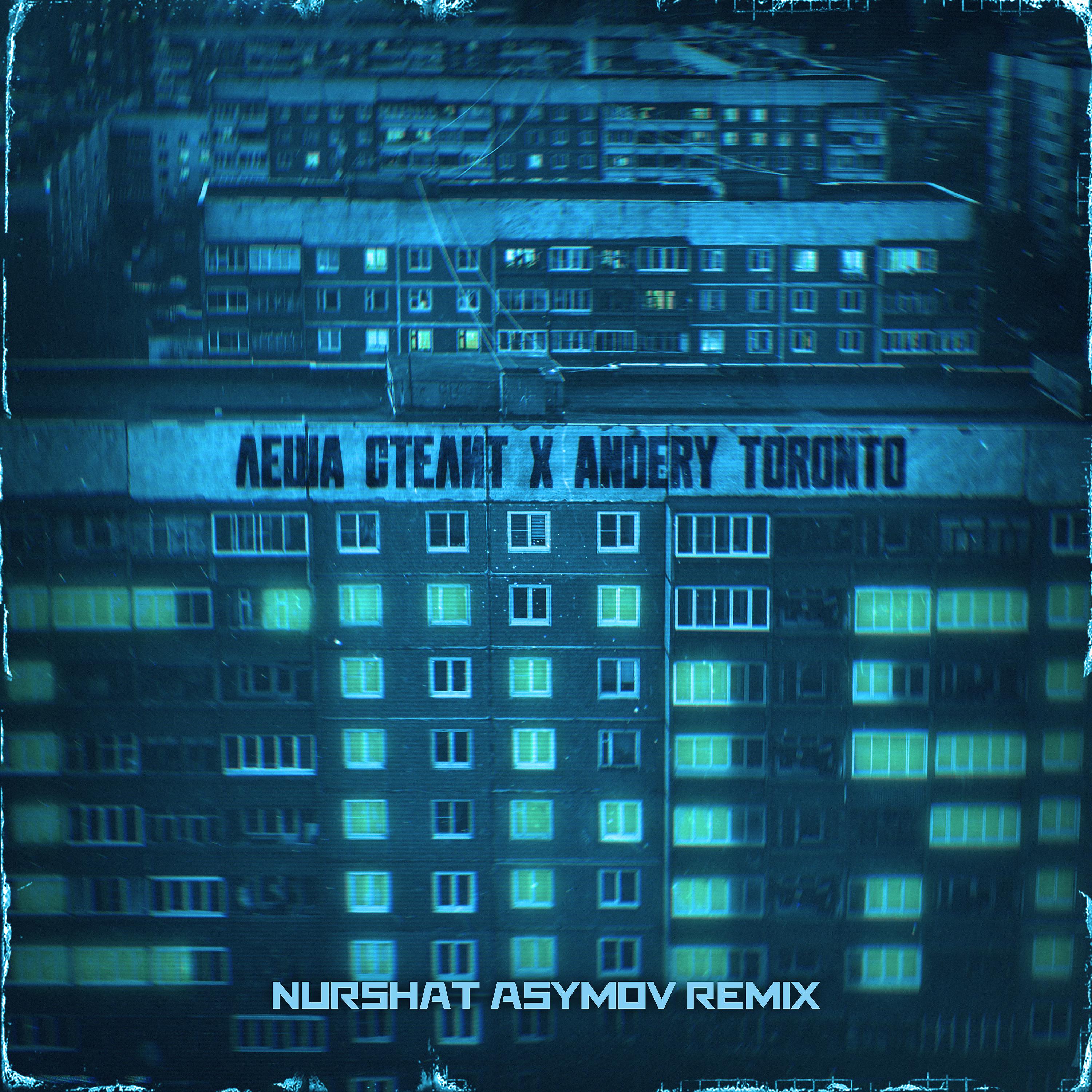 Постер альбома Стая (Nurshat Asymov Remix)