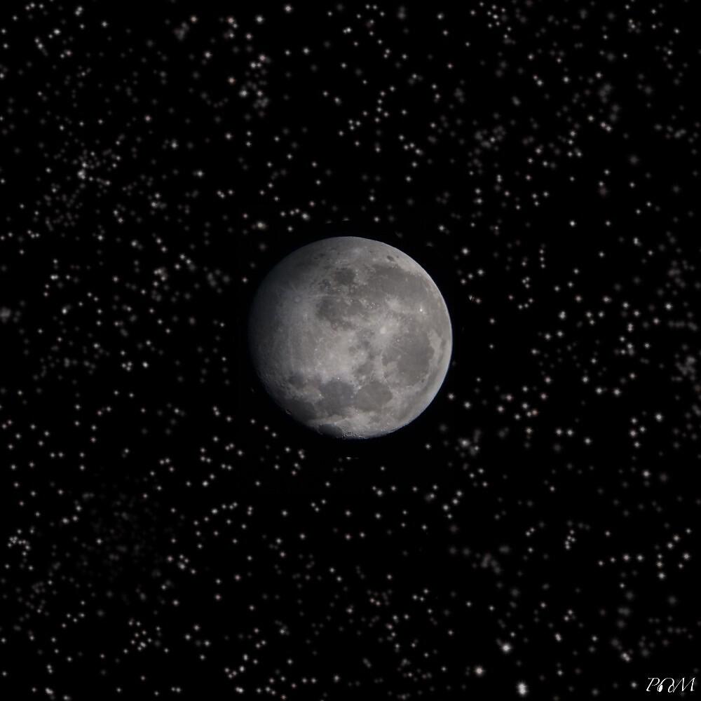 POM - Lunar Experience