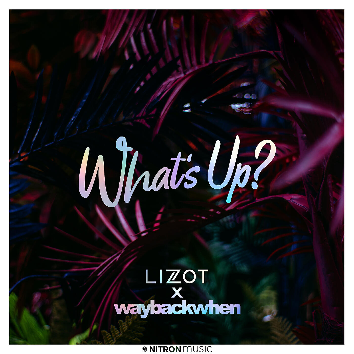 LIZOT - What's Up?