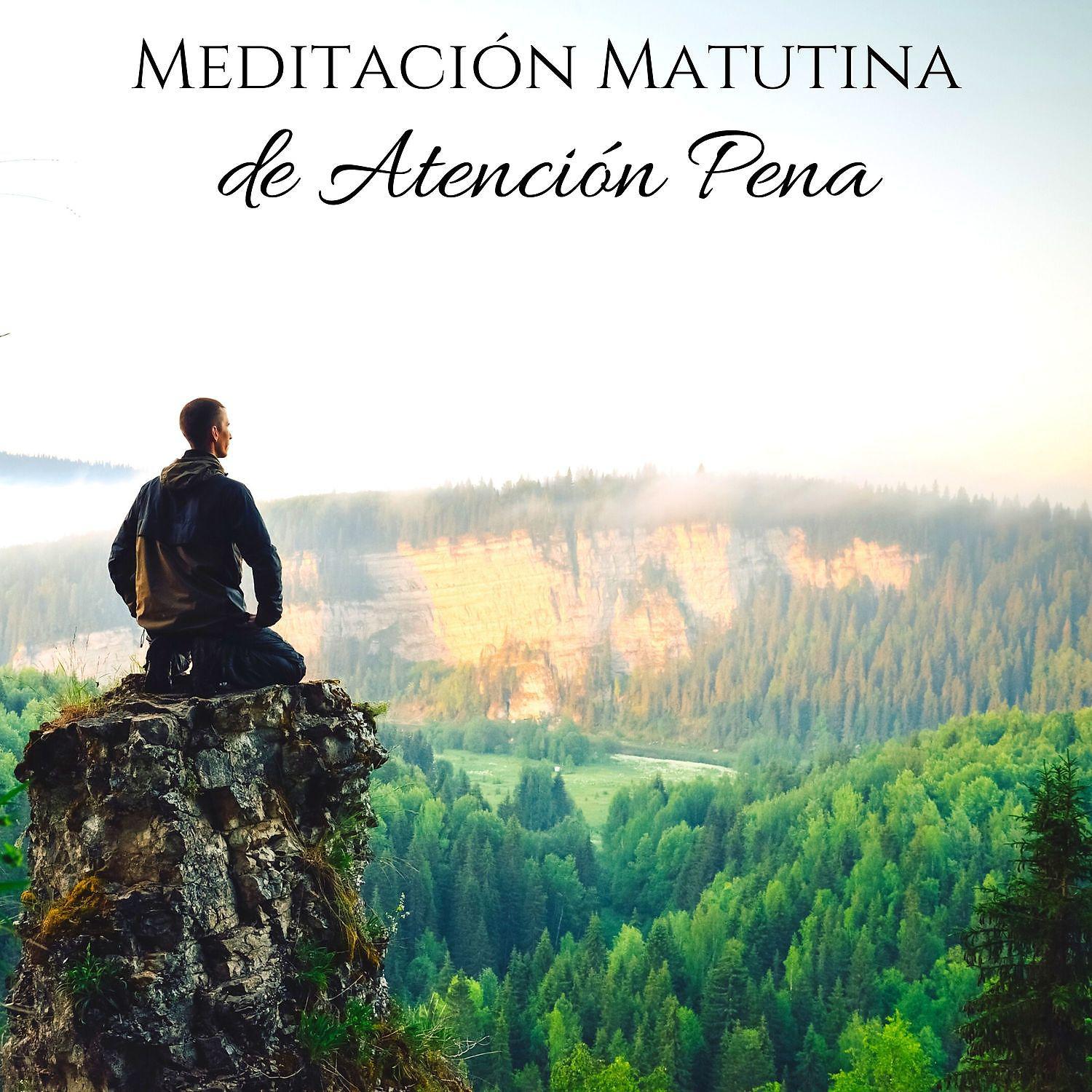 Постер альбома Meditacion Matutina de Atencion Pena: Mente Tranquila, Relajacion Profunda, Sonidos de la Naturaleza