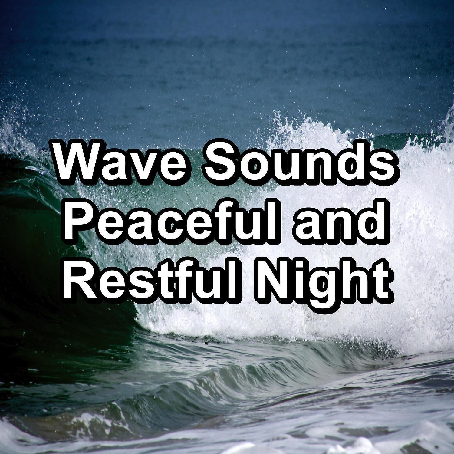 Ocean Sounds Collection - Winds and Waves Earphones Sound