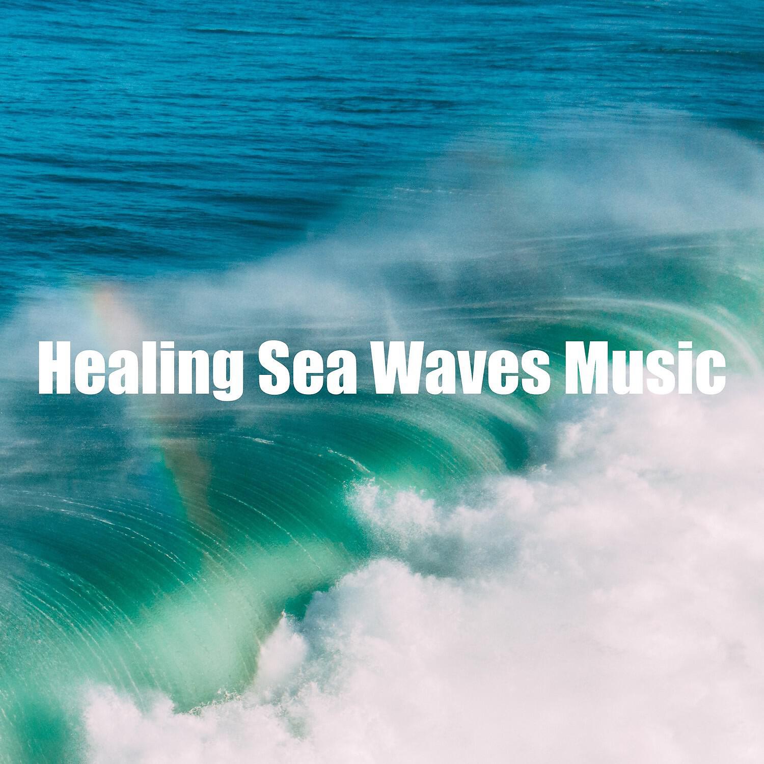 Sea Tranquility Academy - Light Waves Music