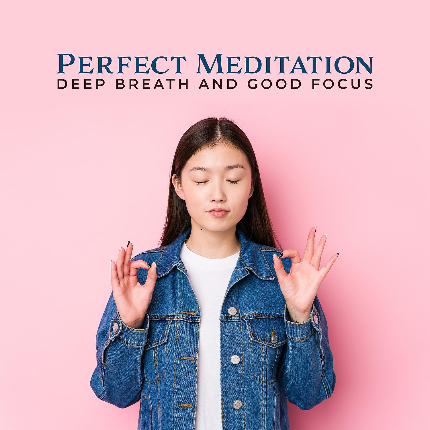 Постер альбома Perfect Meditation - Deep Breath and Good Focus