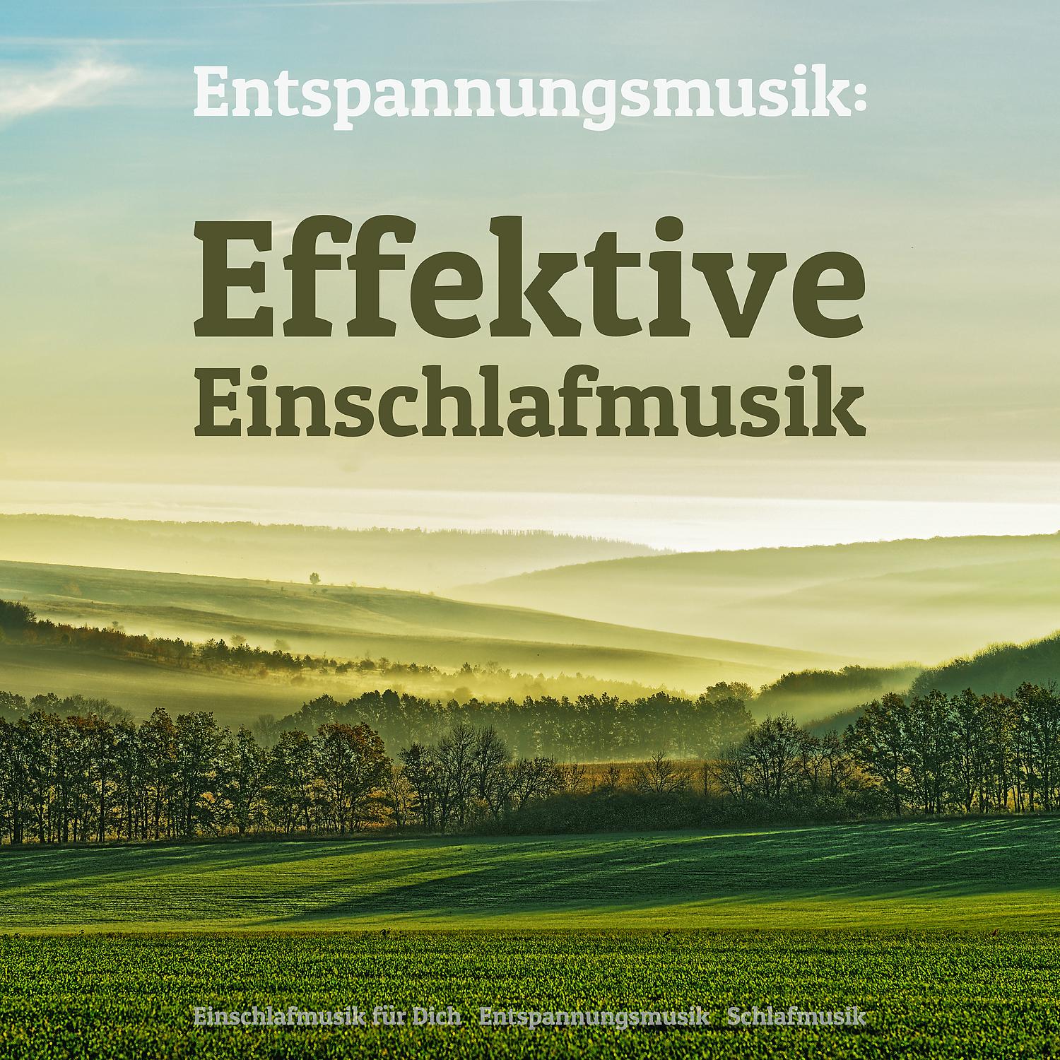 Постер альбома Entspannungsmusik: Effektive Einschlafmusik