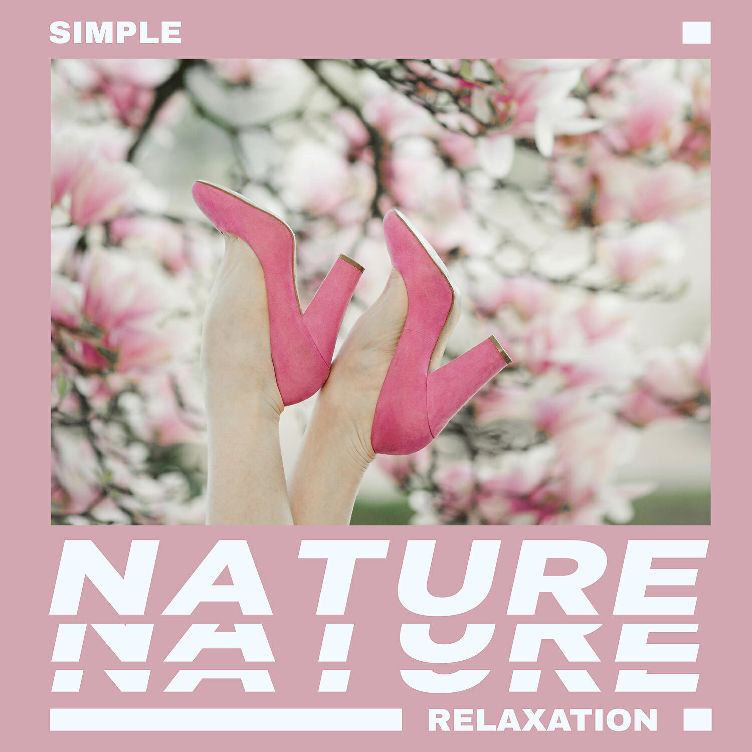 Nature Music Sanctuary - Gentle Rain