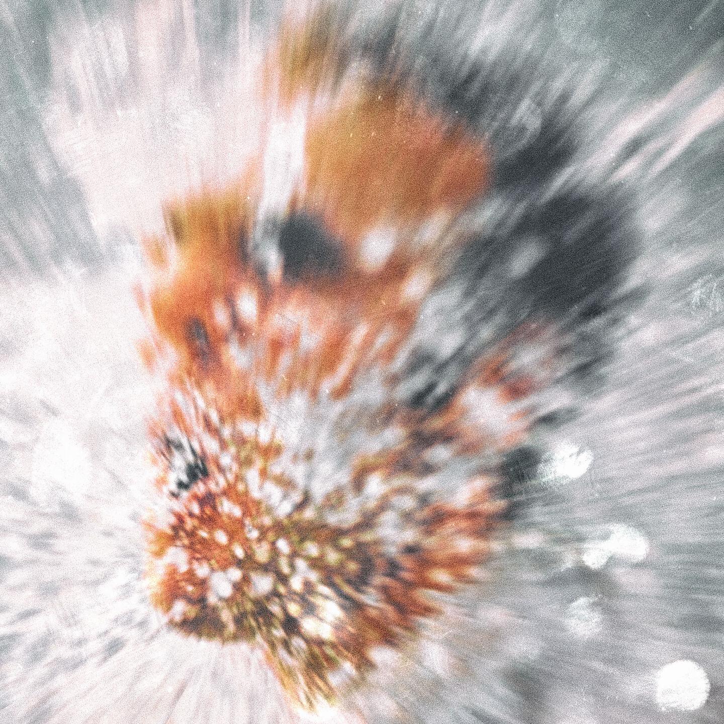 Альбом Тремор исполнителя Скриптонит, bludkidd