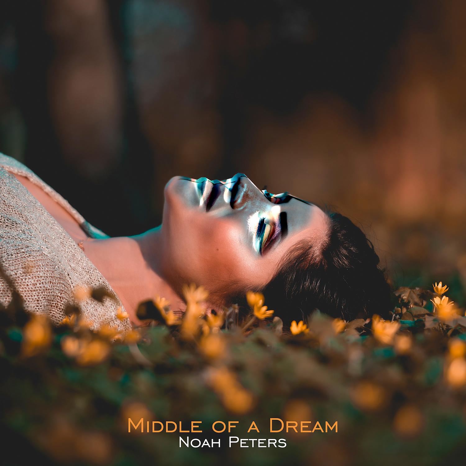 Постер альбома Middle of a Dream
