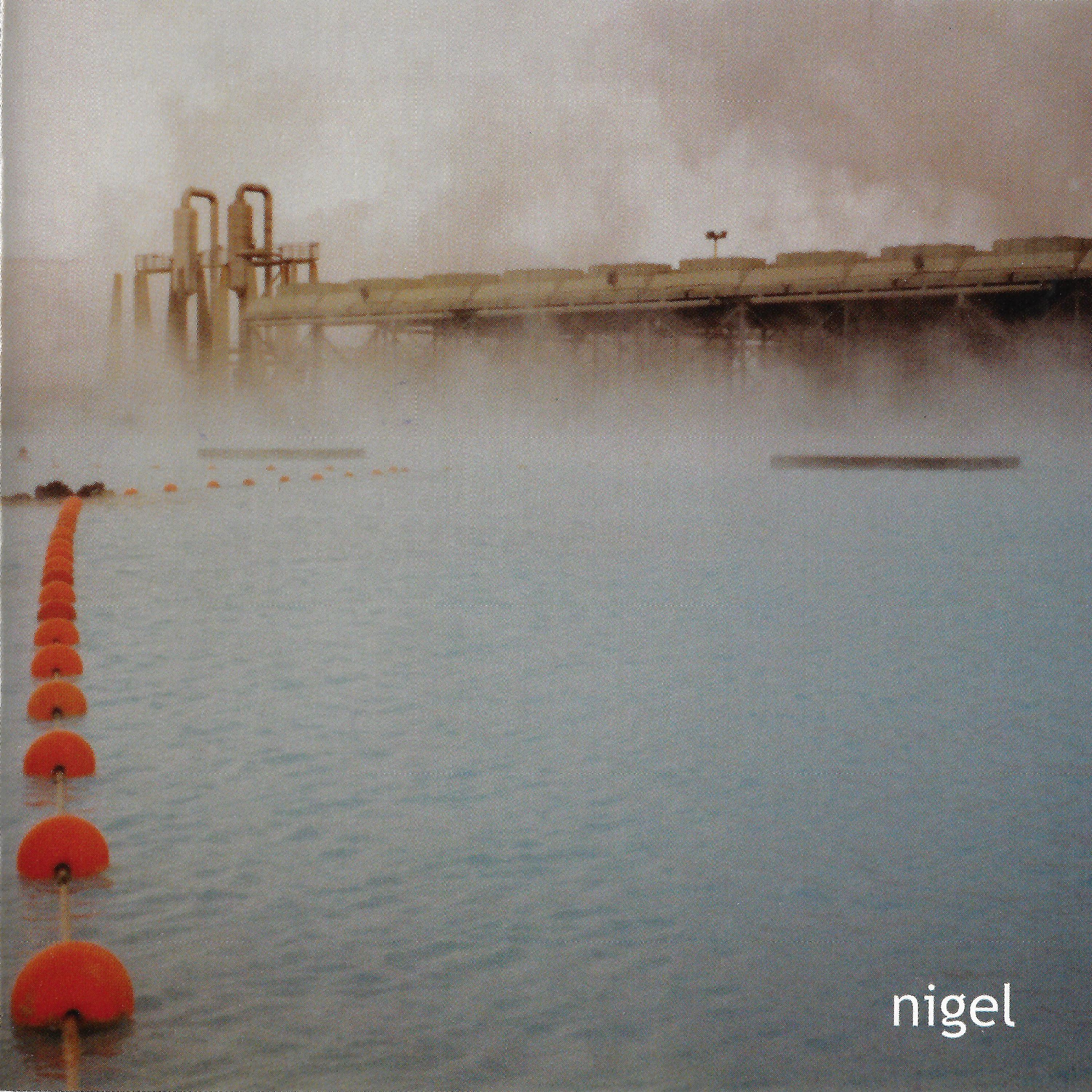 Постер альбома Nigel