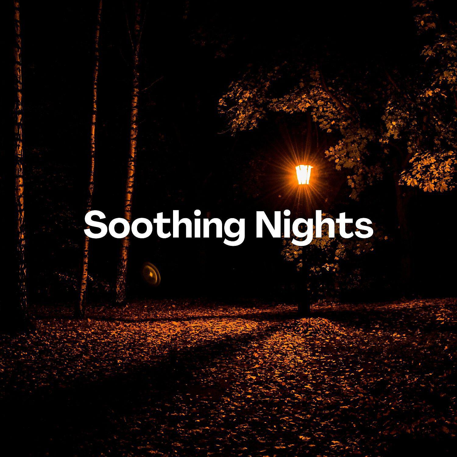 Night Sounds Channel - Flowers