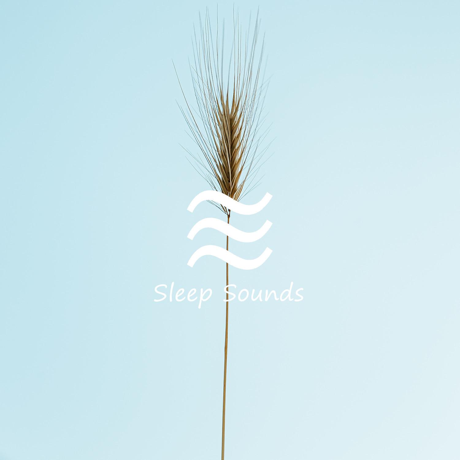 Постер альбома Гладкий шум для глубокого сна